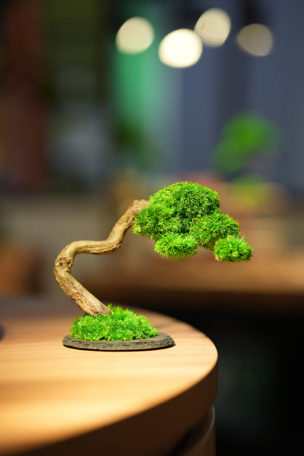 Rosewood - Teaman's Delight