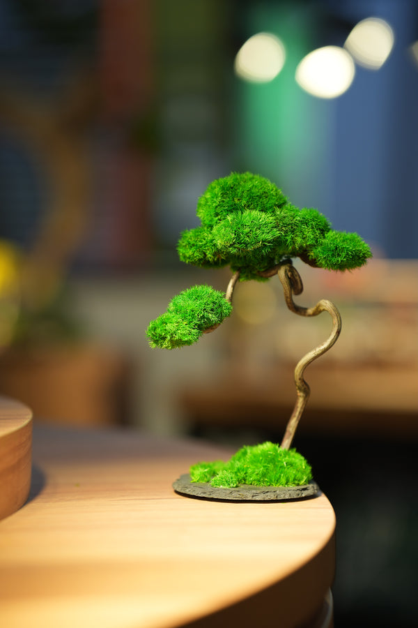 Rosewood - Poet of the Forest