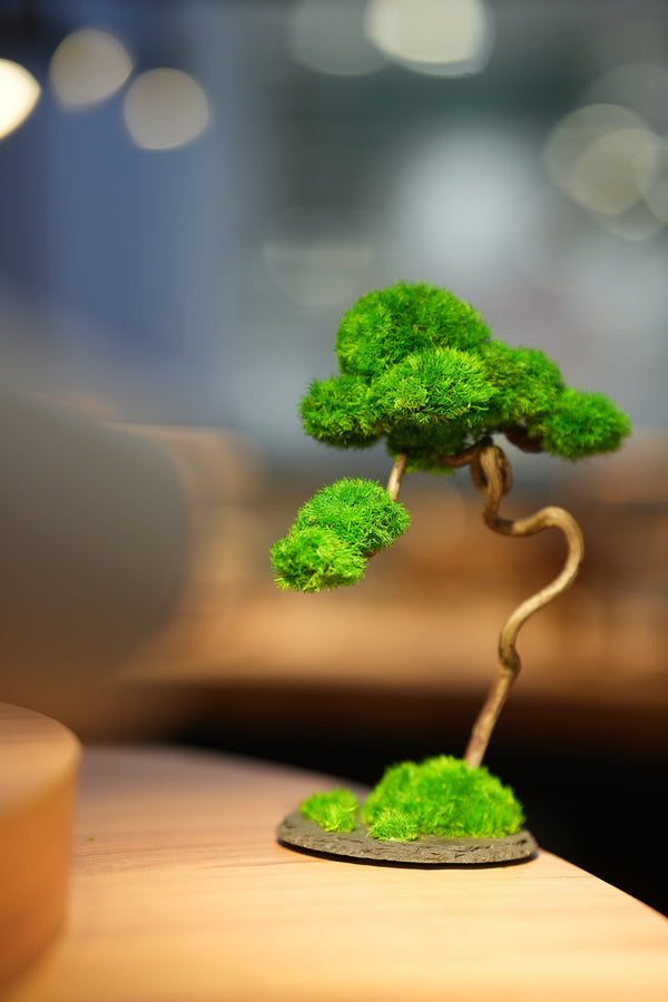 Rosewood - Poet of the Forest