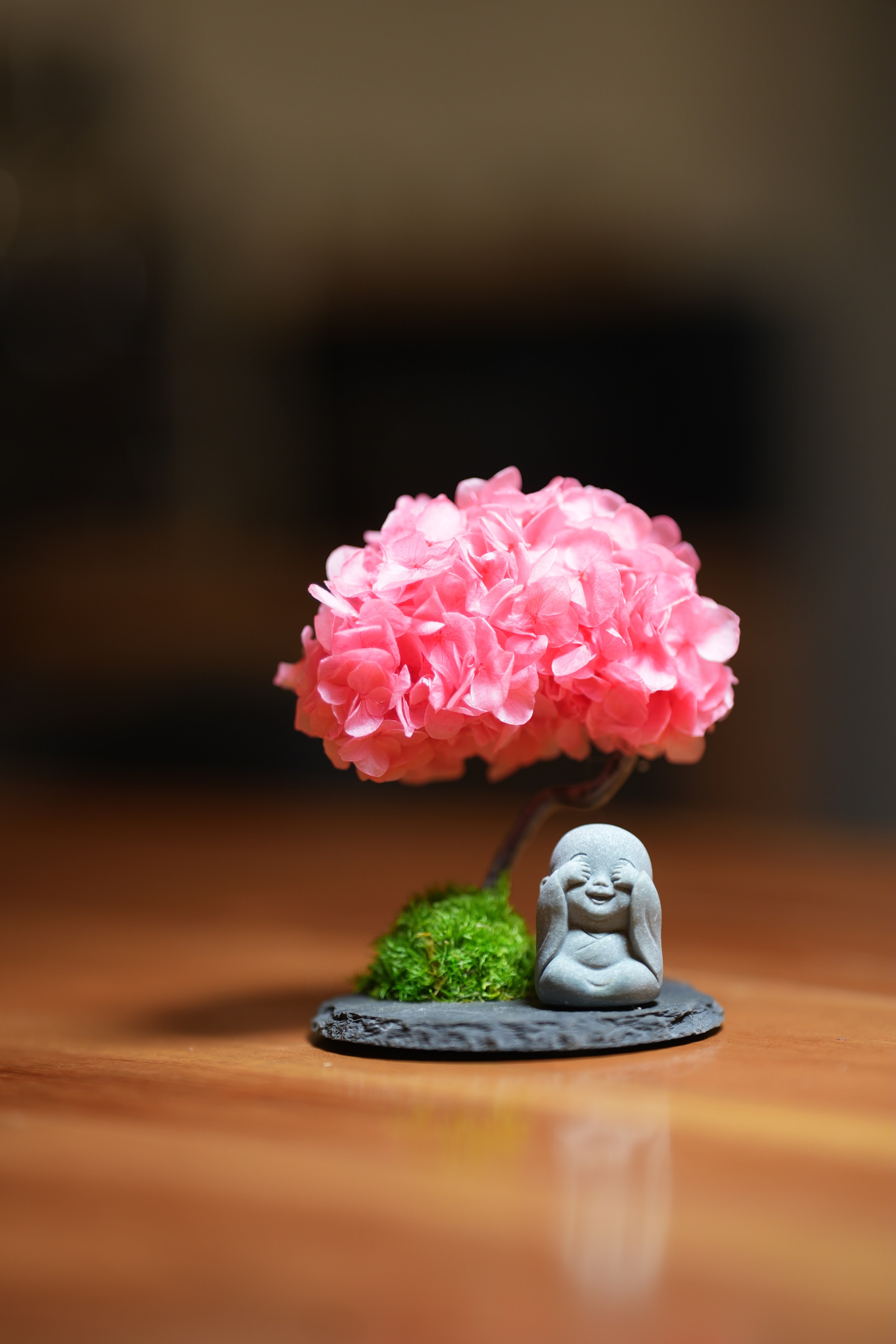 A Small Tree in the East - Sakura - Journeyman