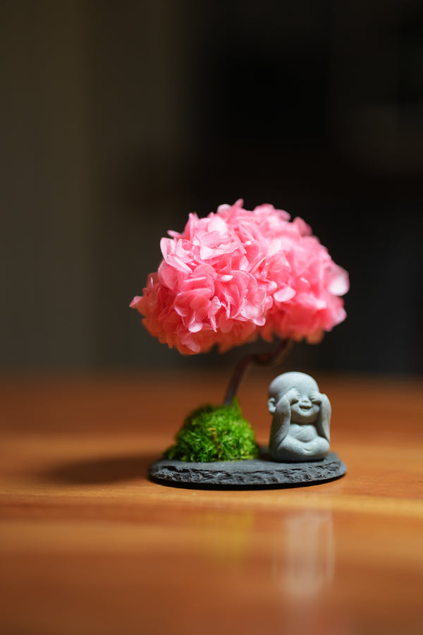A Small Tree in the East - Sakura - Journeyman
