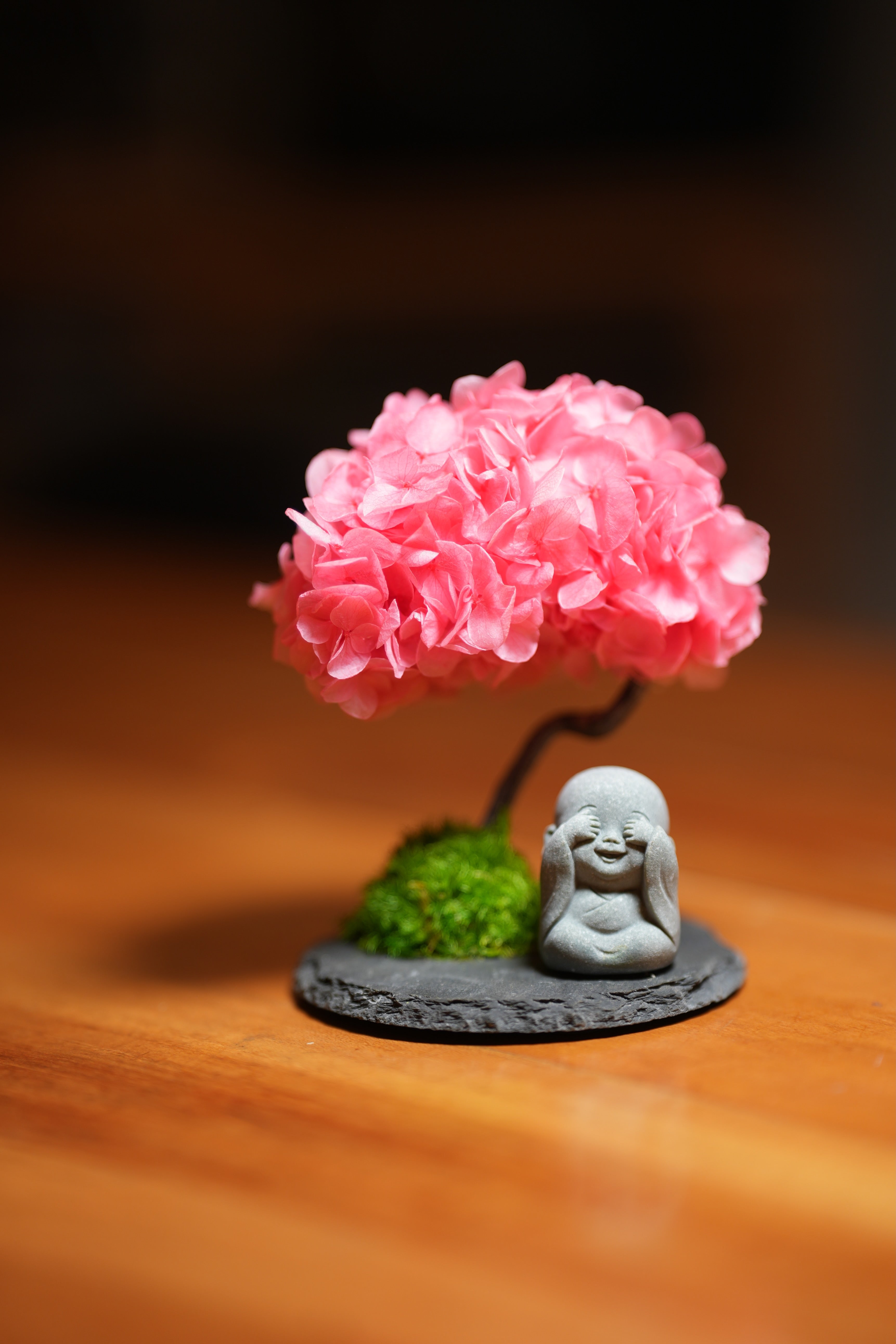 A Small Tree in the East - Sakura - Journeyman