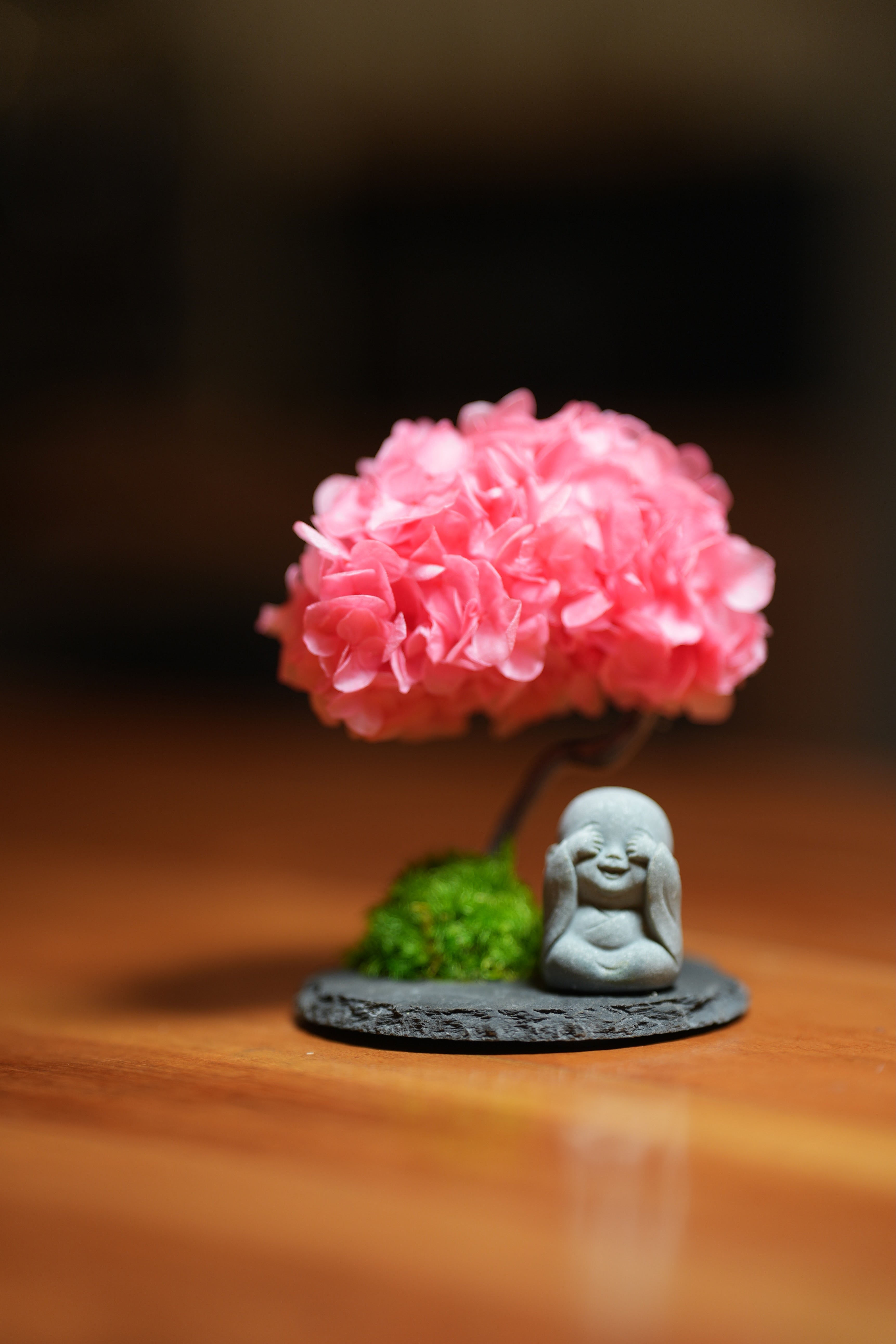 A Small Tree in the East - Sakura - Journeyman