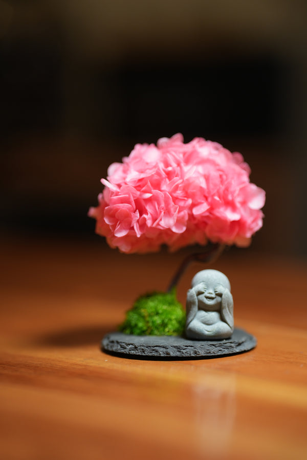 A Small Tree in the East - Sakura - Journeyman