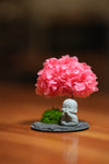 A Small Tree in the East - Sakura - Journeyman