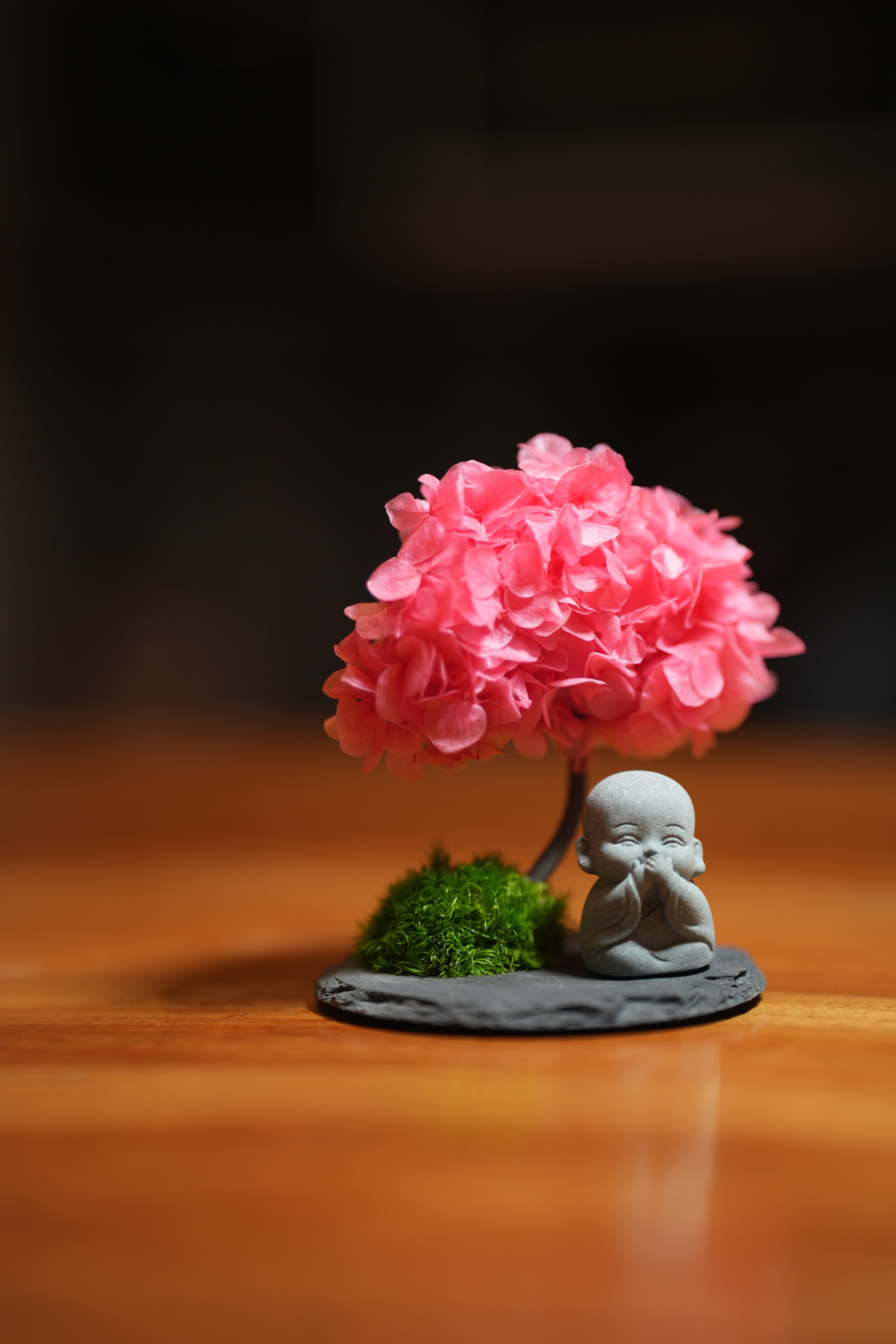 A Small Tree in the East - Sakura - Journeyman