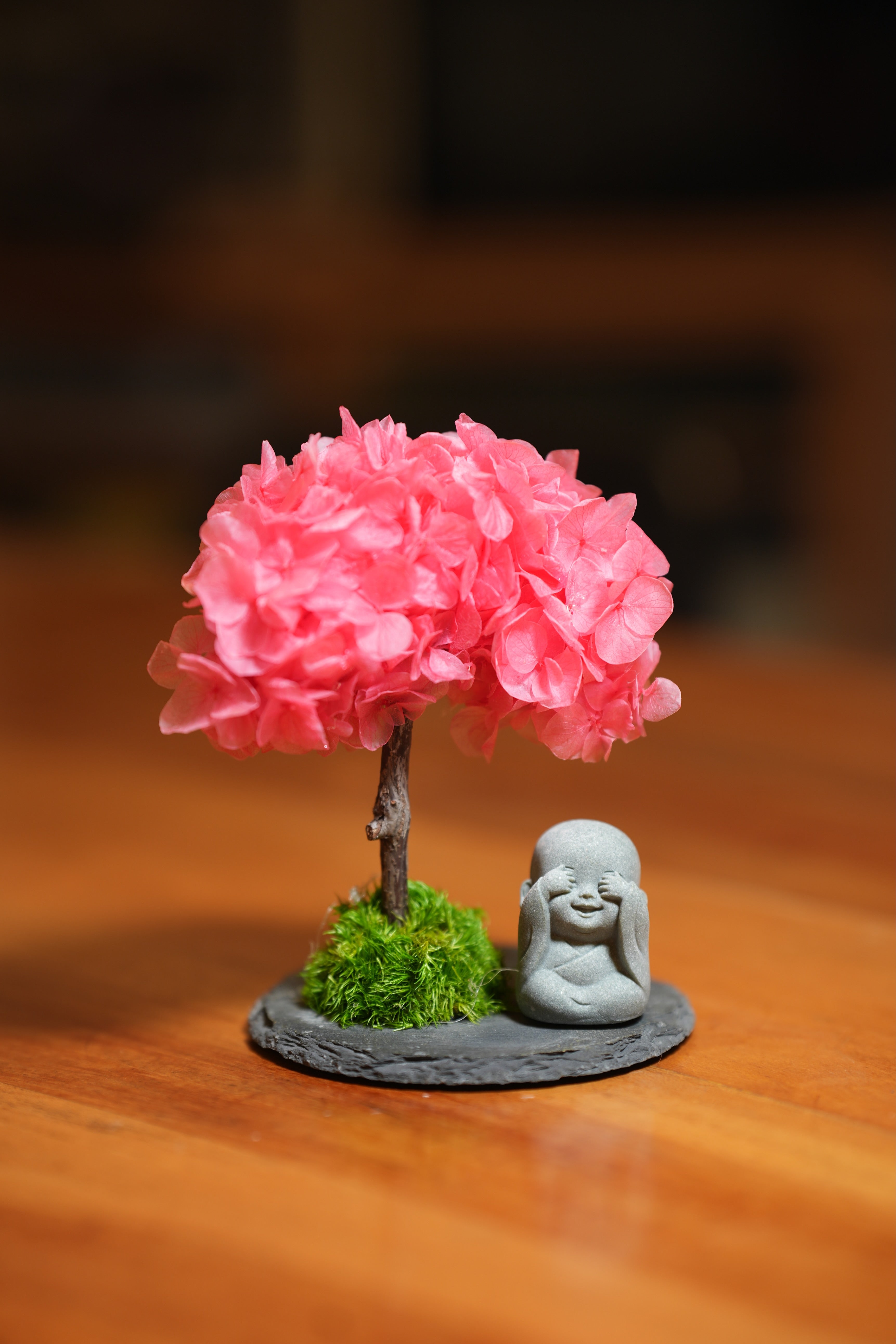 A Small Tree in the East - Sakura - Journeyman