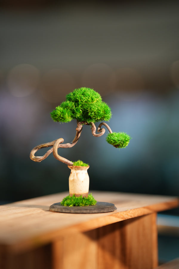 Rosewood - Poet of the Forest