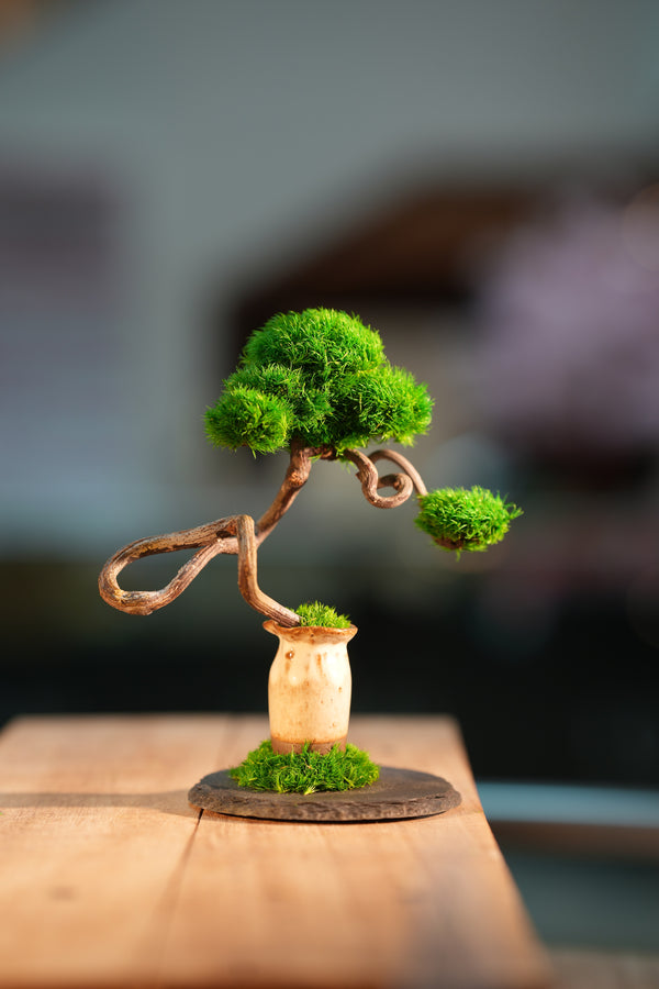 Rosewood - Poet of the Forest