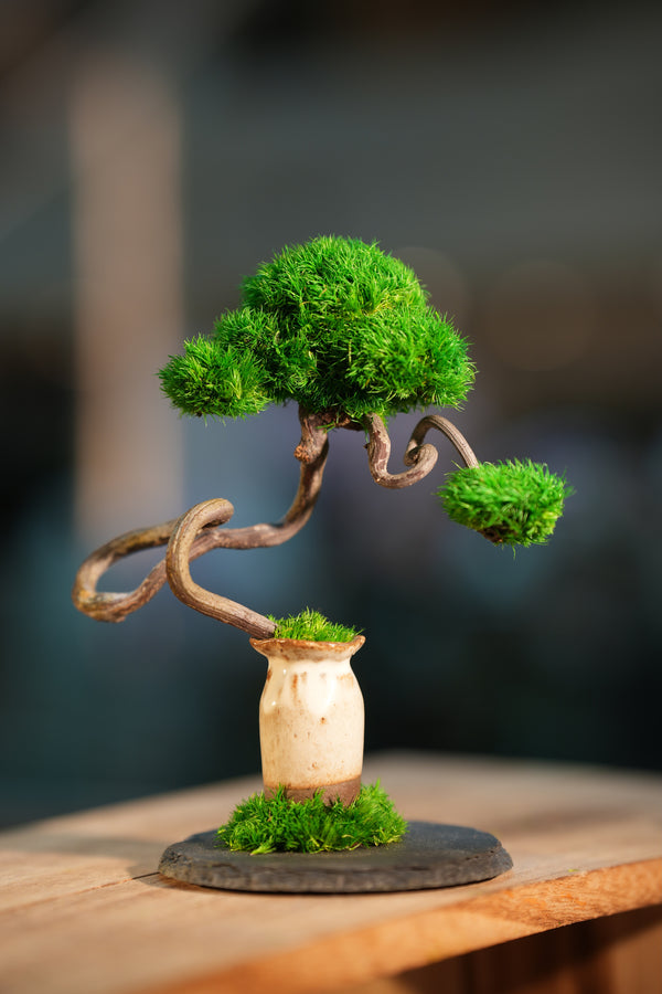 Rosewood - Poet of the Forest