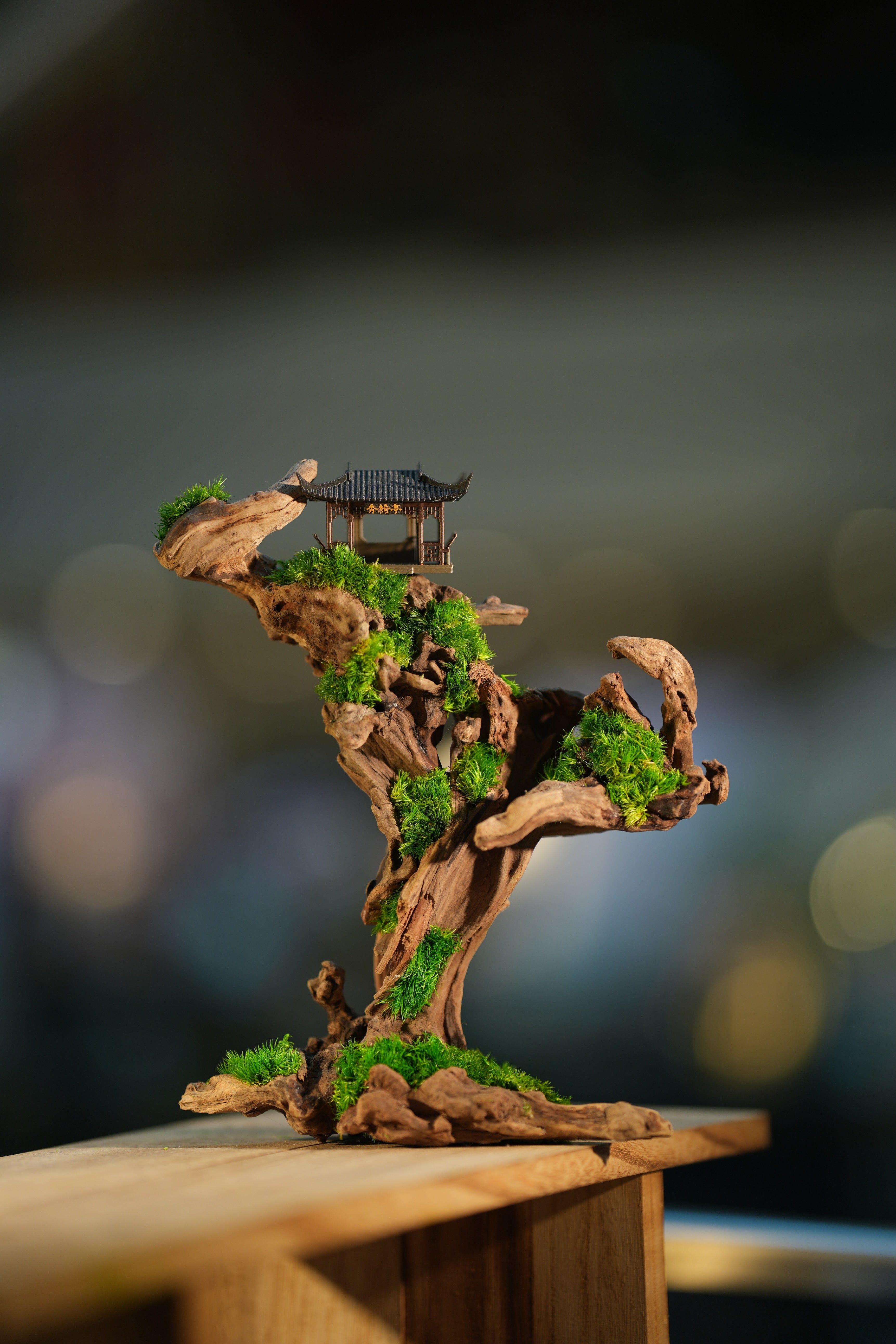 Blackwood Cliff