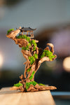 Blackwood Cliff