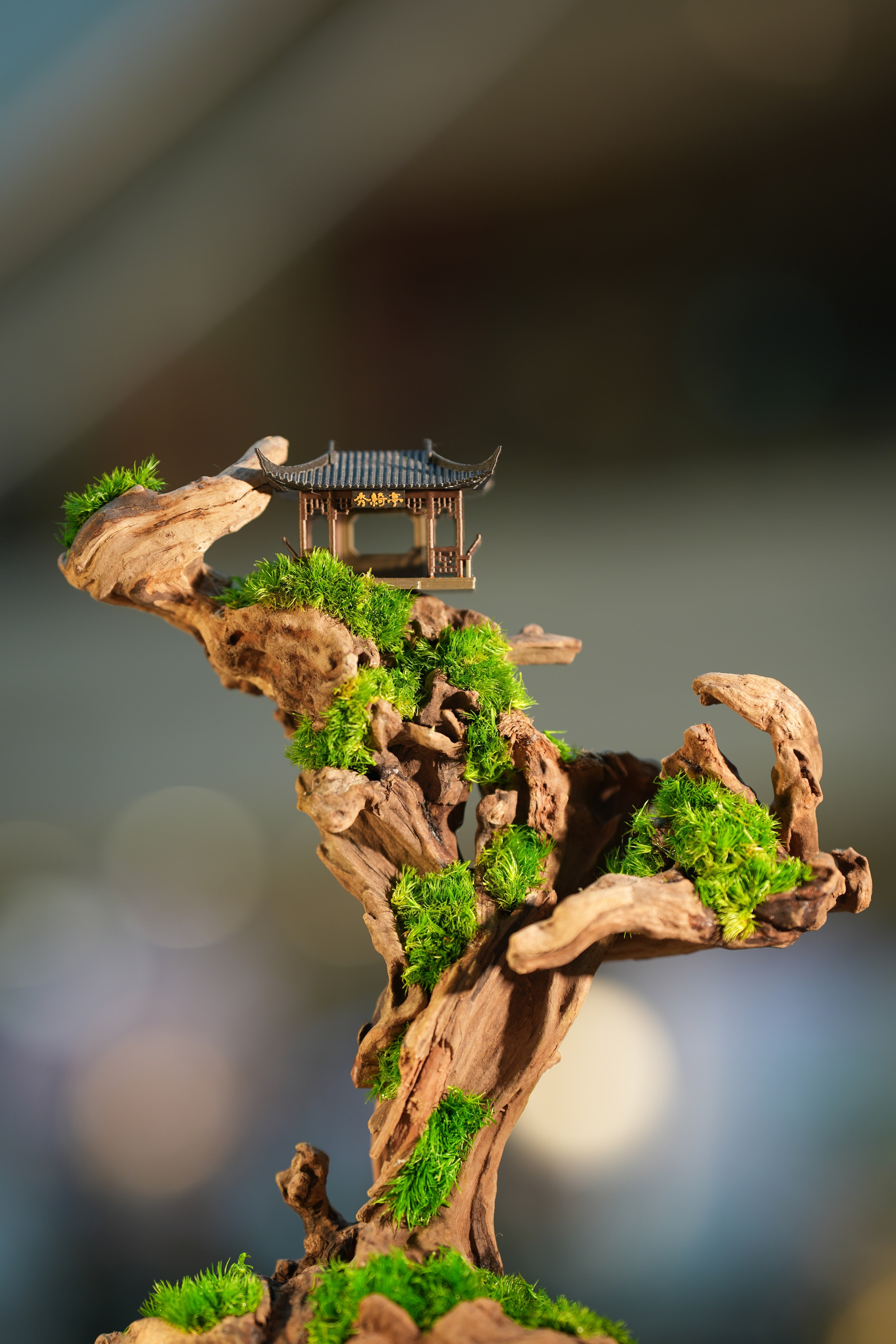 Blackwood Cliff