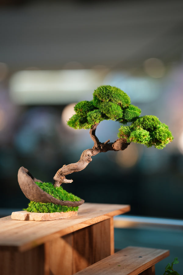 Rosewood - Flight of Time