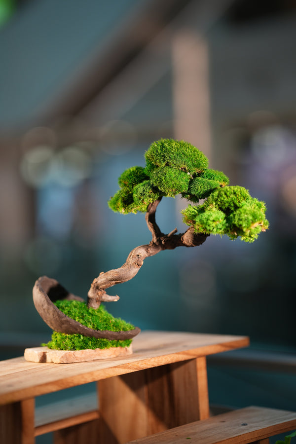 Rosewood - Flight of Time