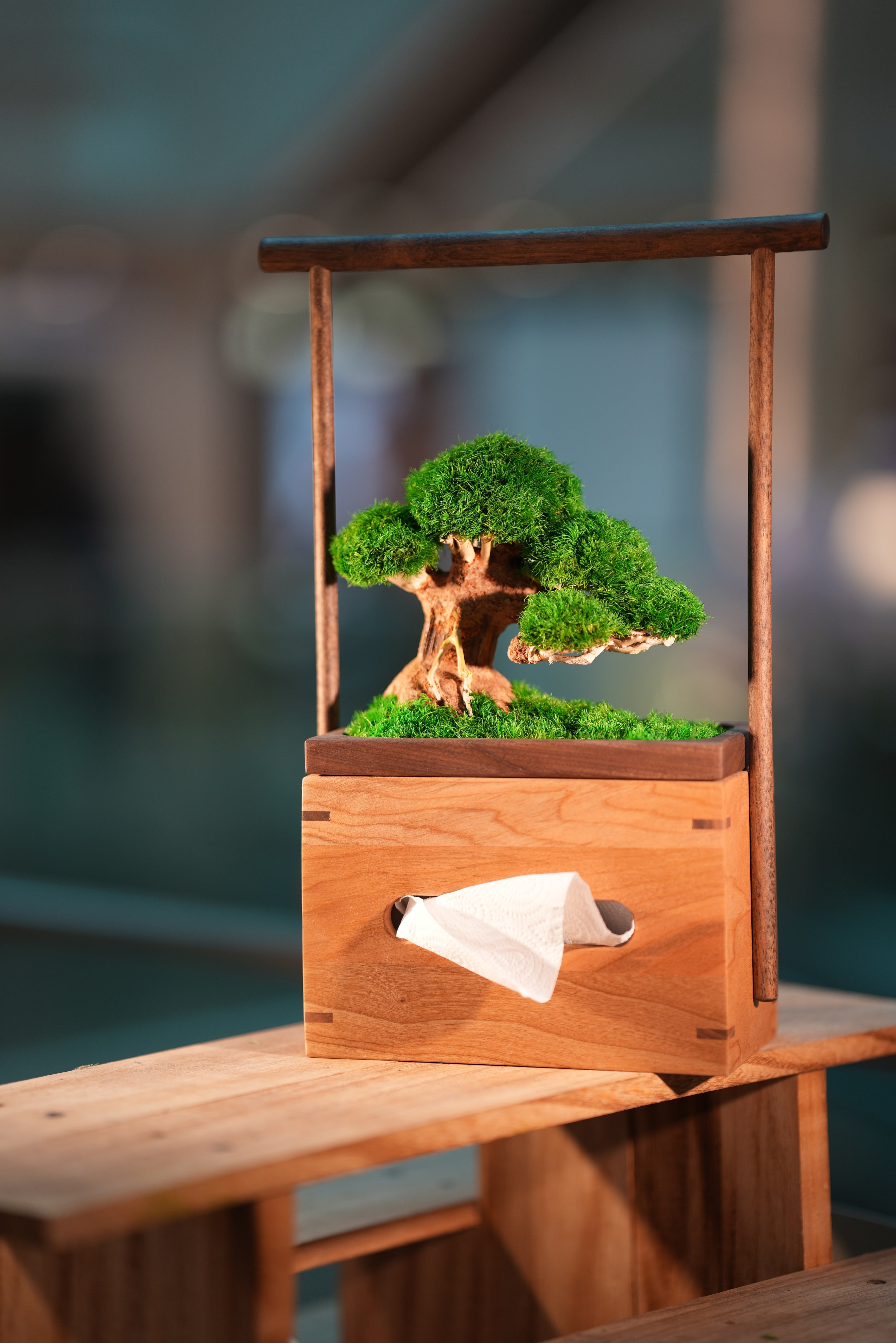 Slow Wood - Young - Tissue Box edition