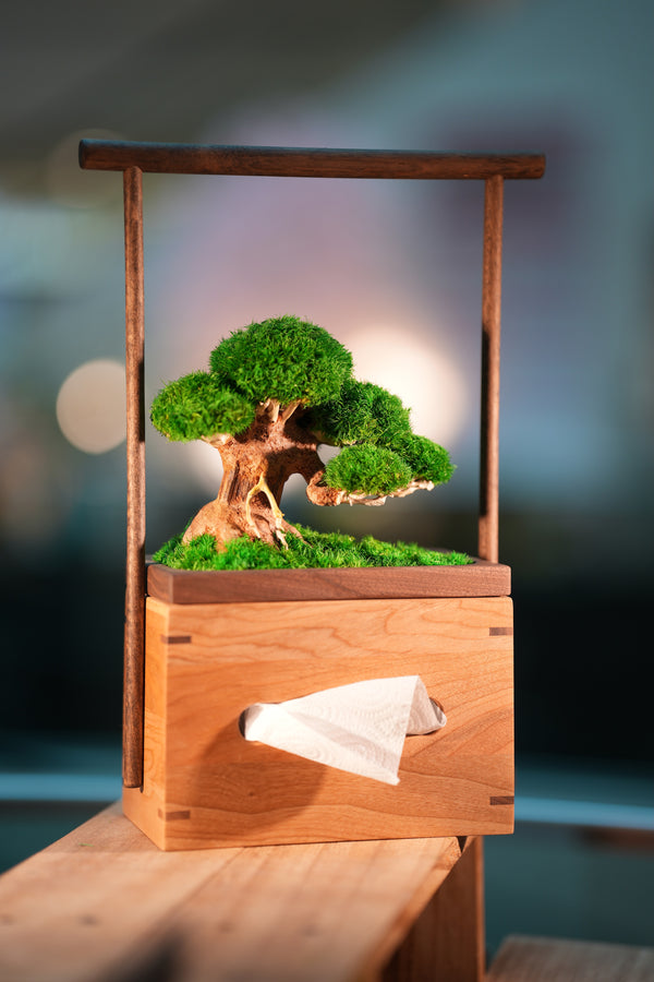 Slow Wood - Young - Tissue Box edition