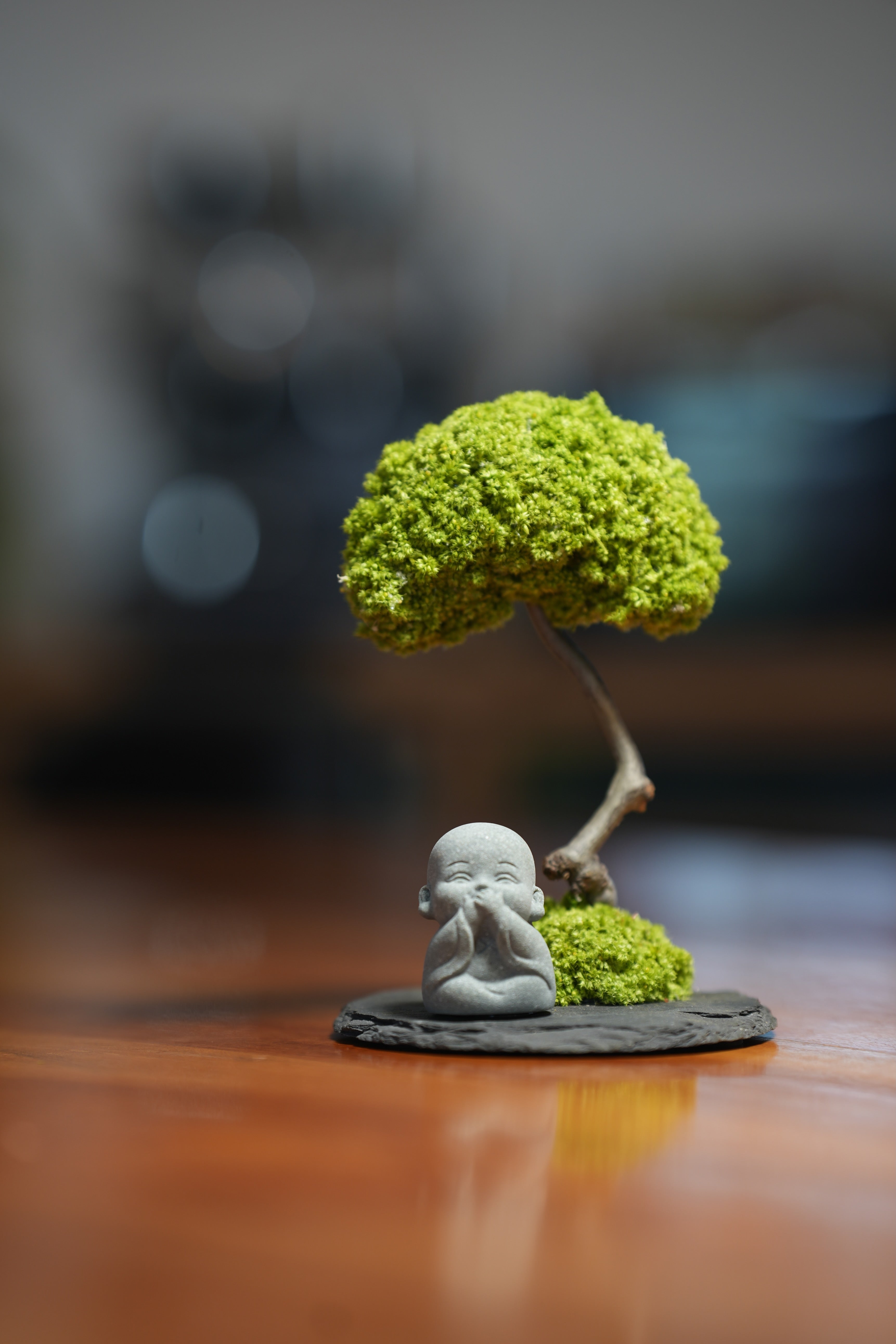 A Small Tree in the East - Journeyman