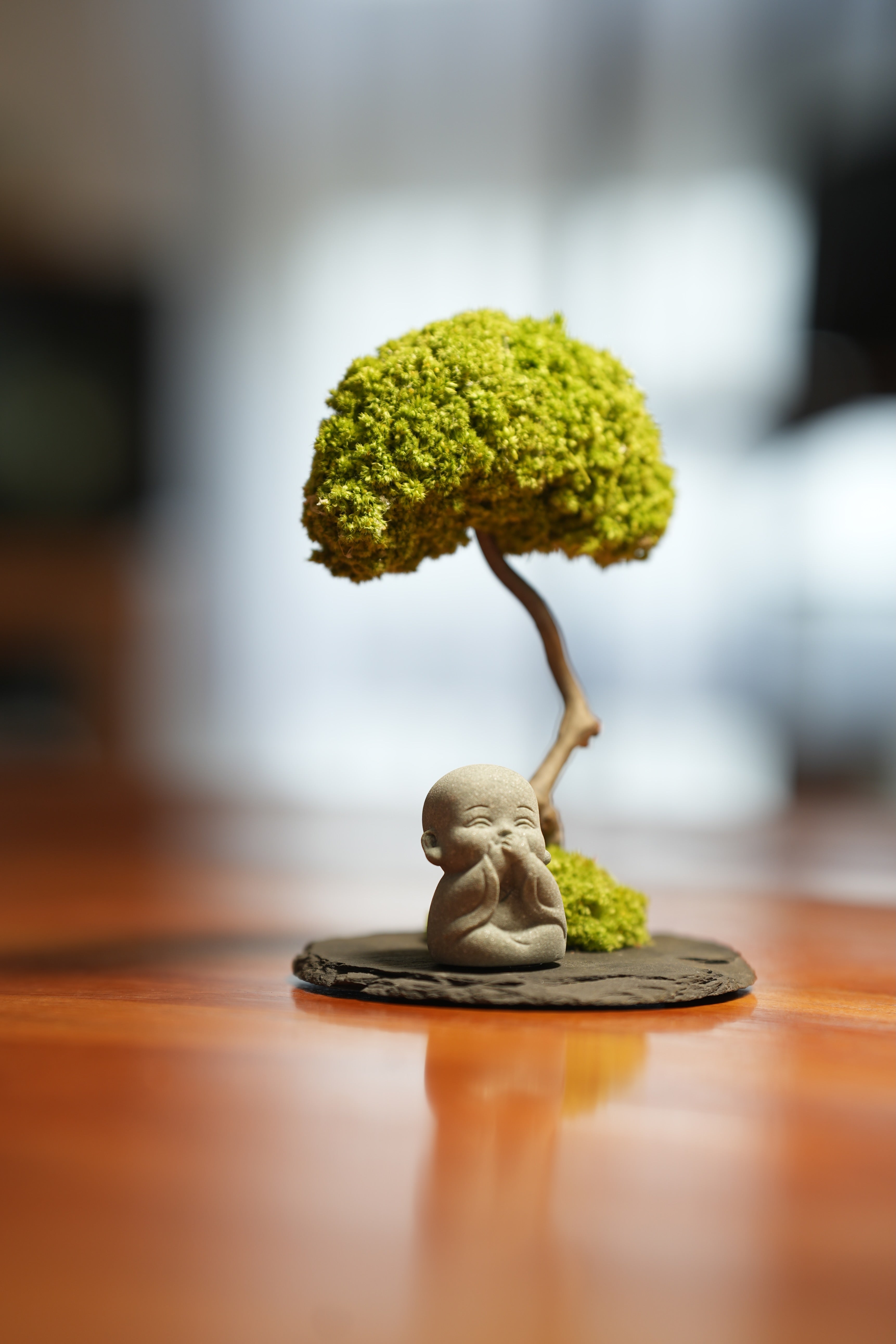 A Small Tree in the East - Journeyman