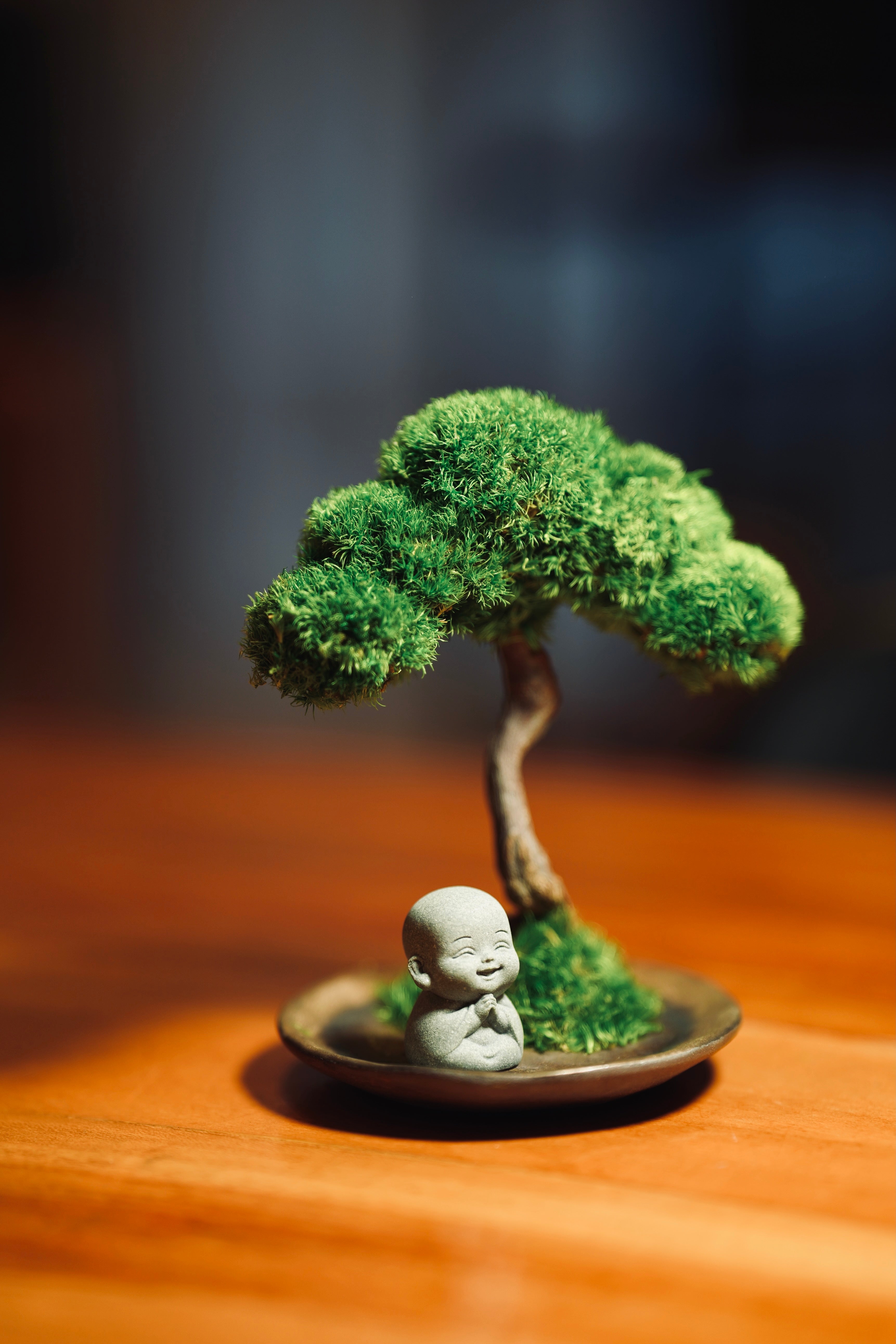 A Small Tree in the East - Classics - Journeyman