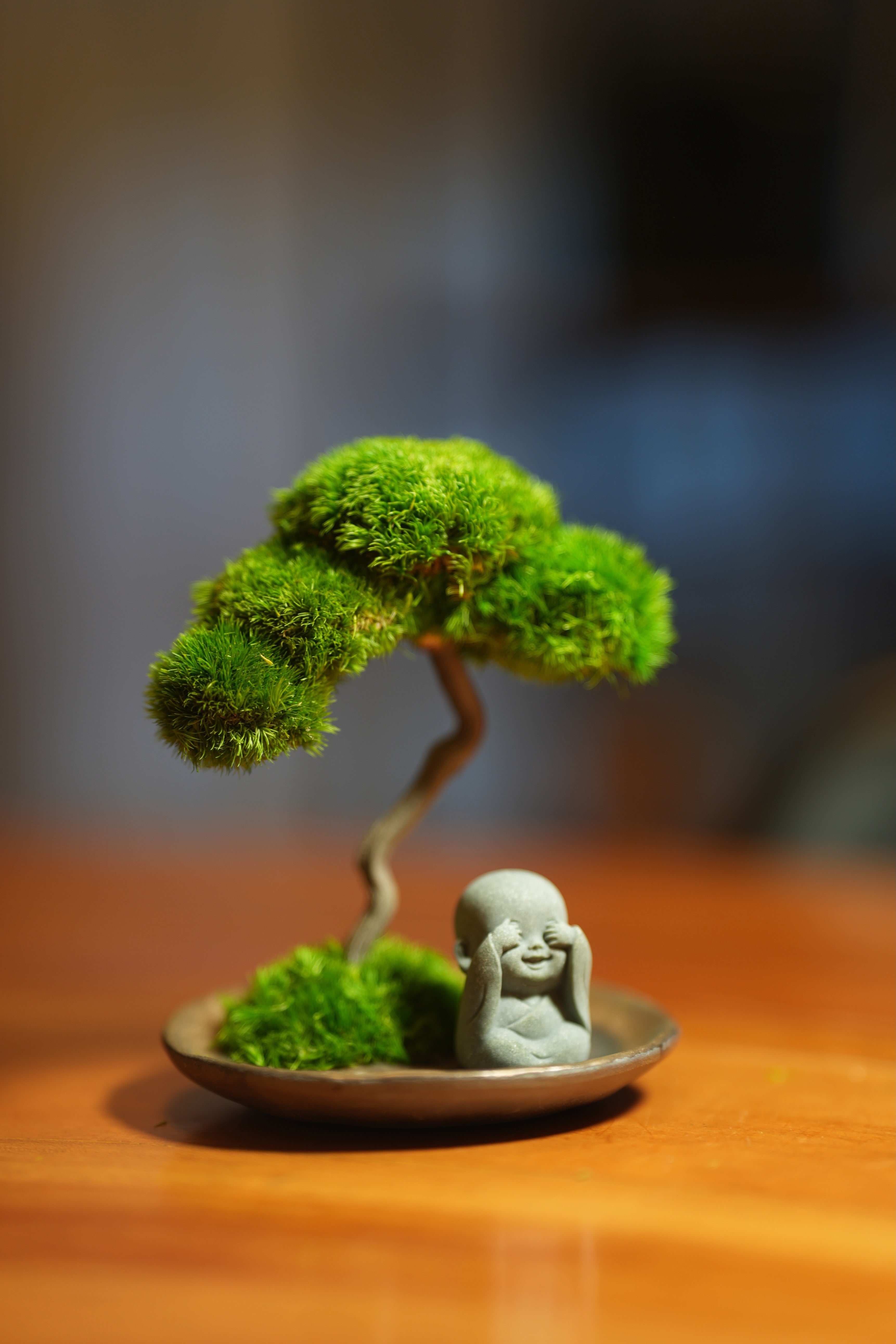 A Small Tree in the East - Classics - Journeyman