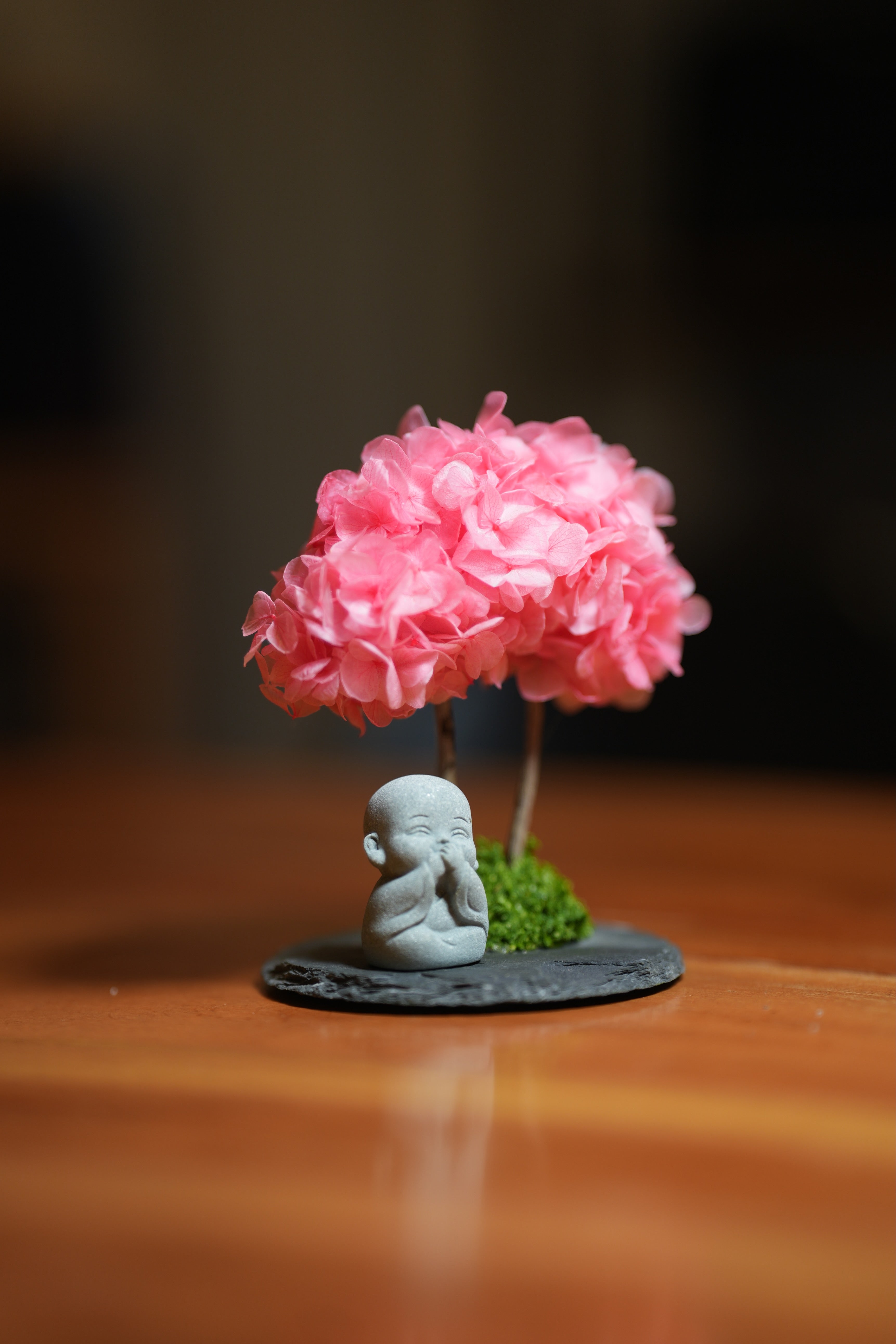 A Small Tree in the East - Sakura - Journeyman