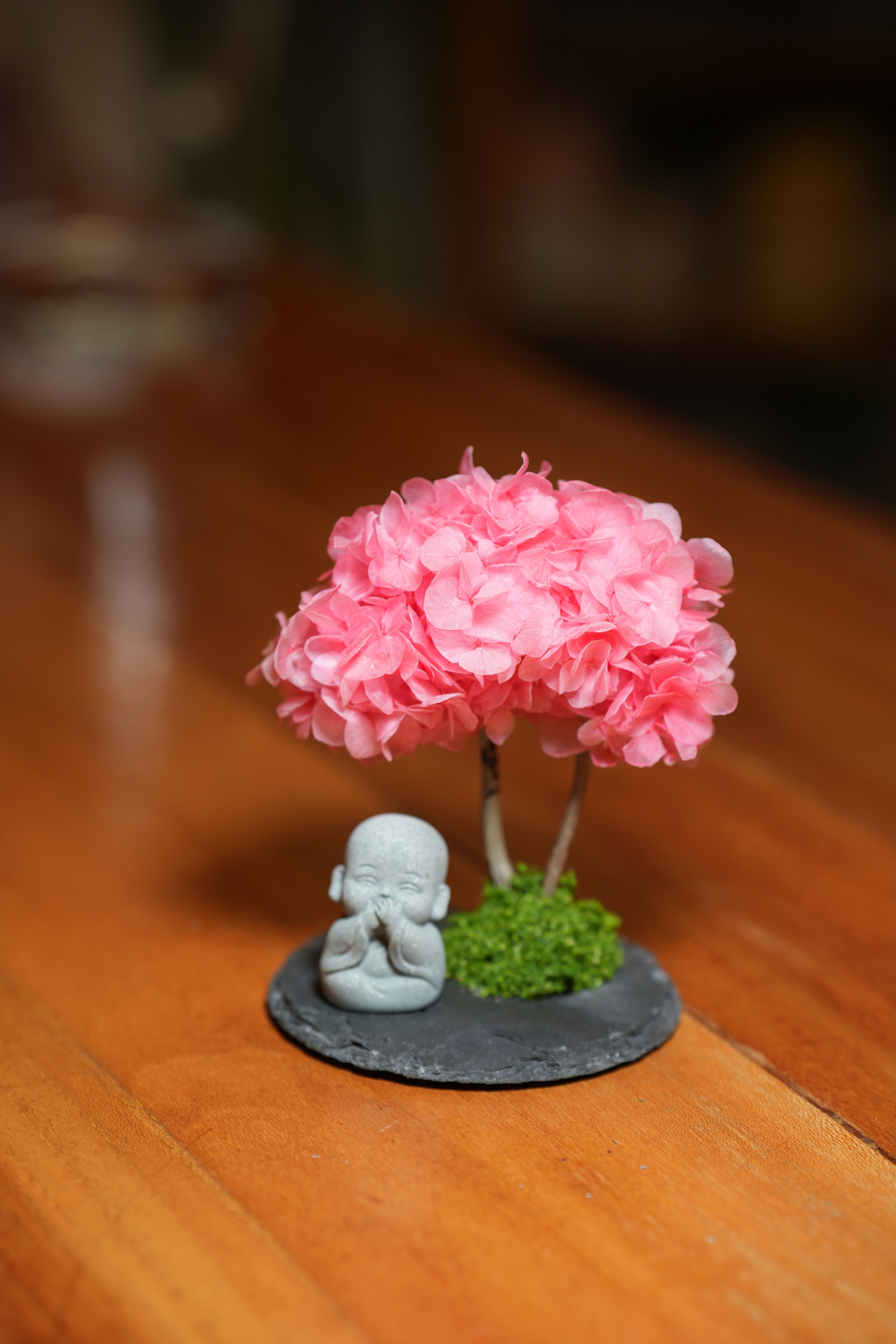 A Small Tree in the East - Sakura - Journeyman