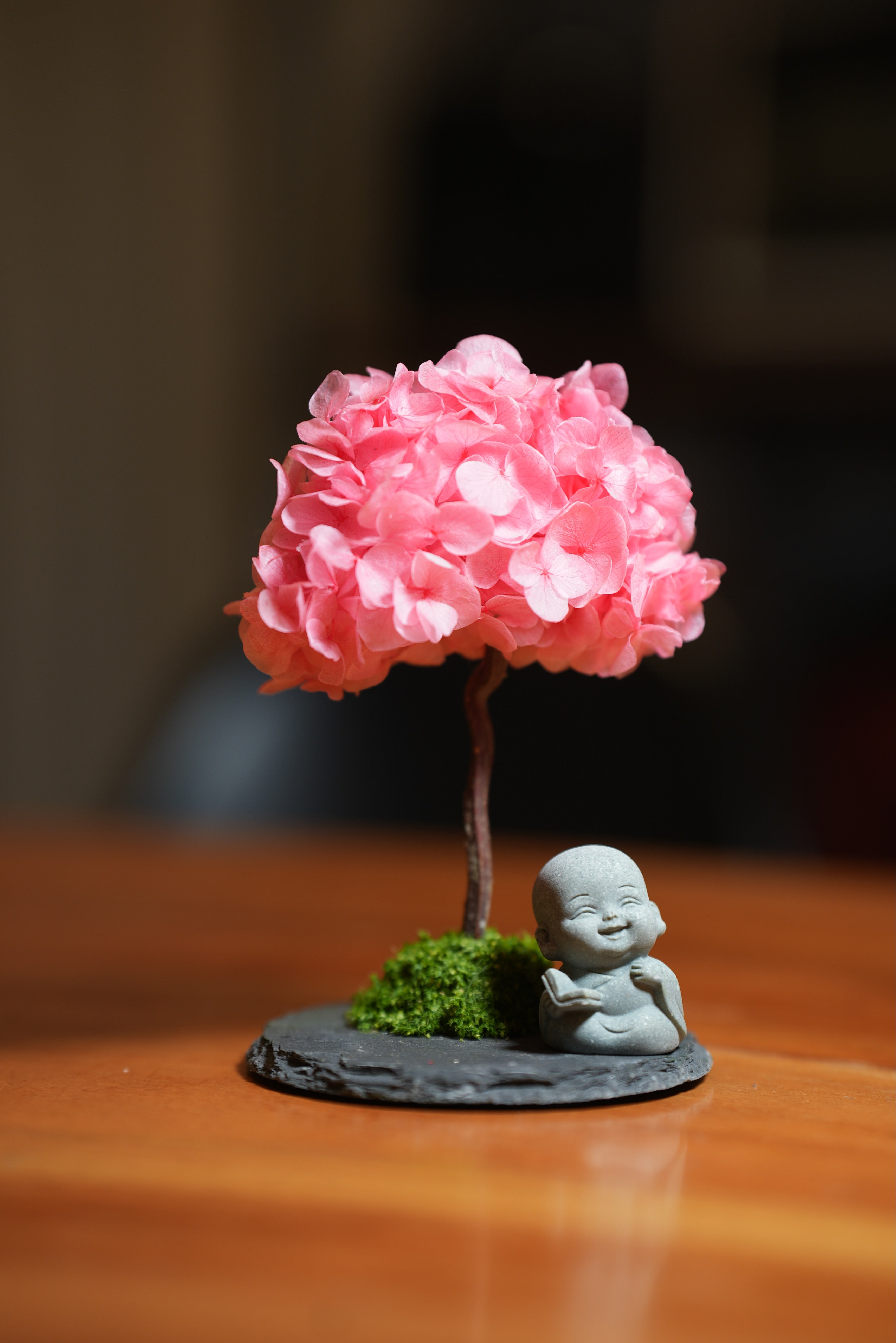 A Small Tree in the East - Sakura - Journeyman