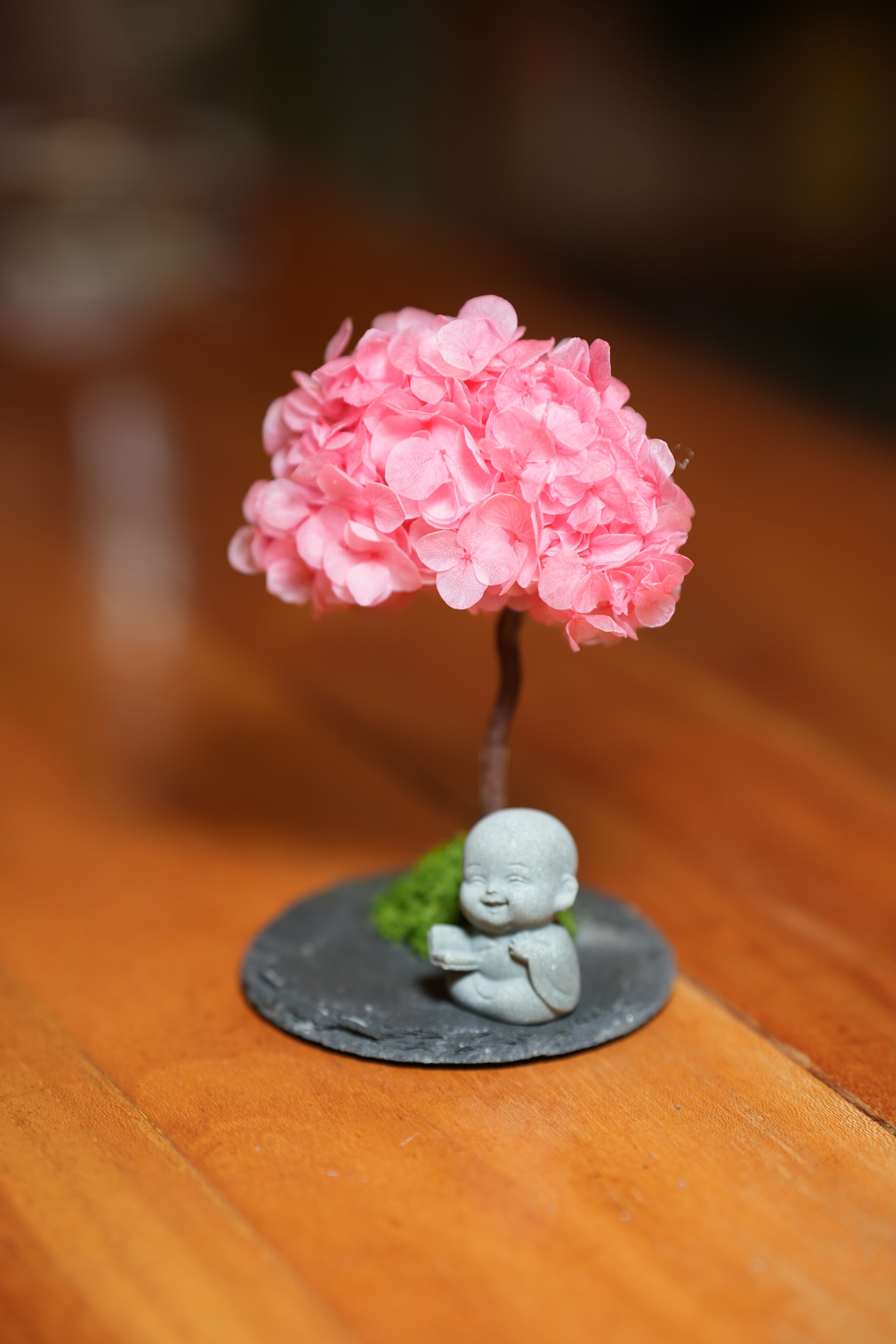 A Small Tree in the East - Sakura - Journeyman