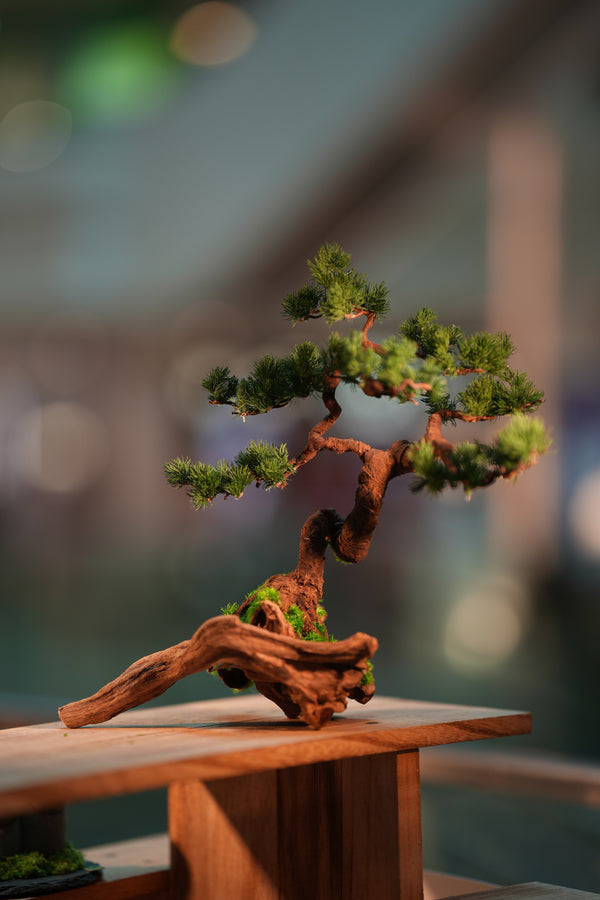 Iron Song of the Earth