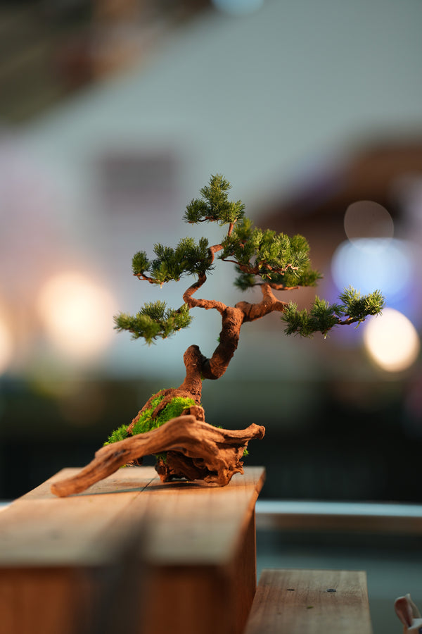 Iron Song of the Earth