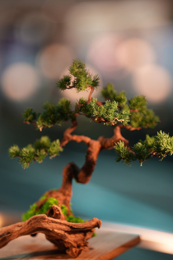 Iron Song of the Earth