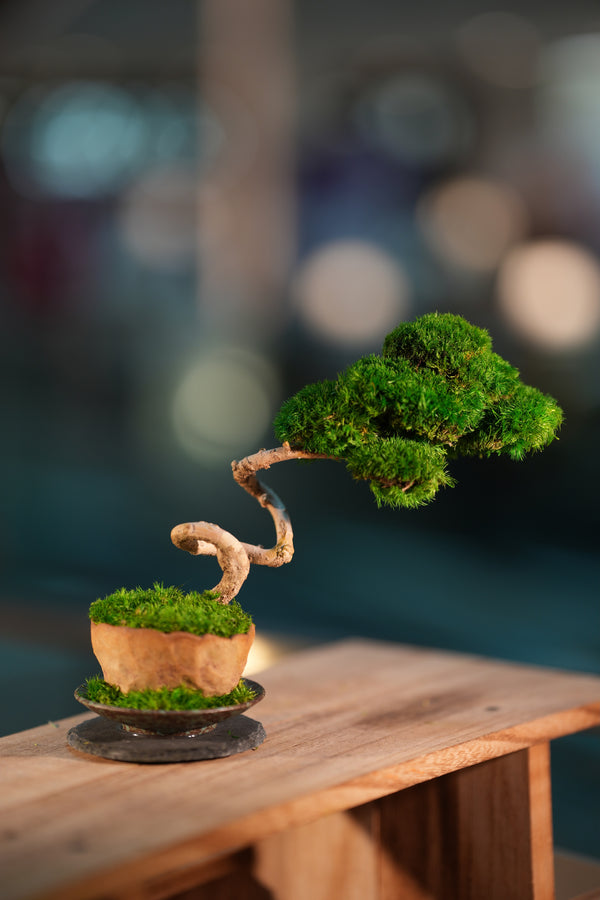 Poet of the Forest