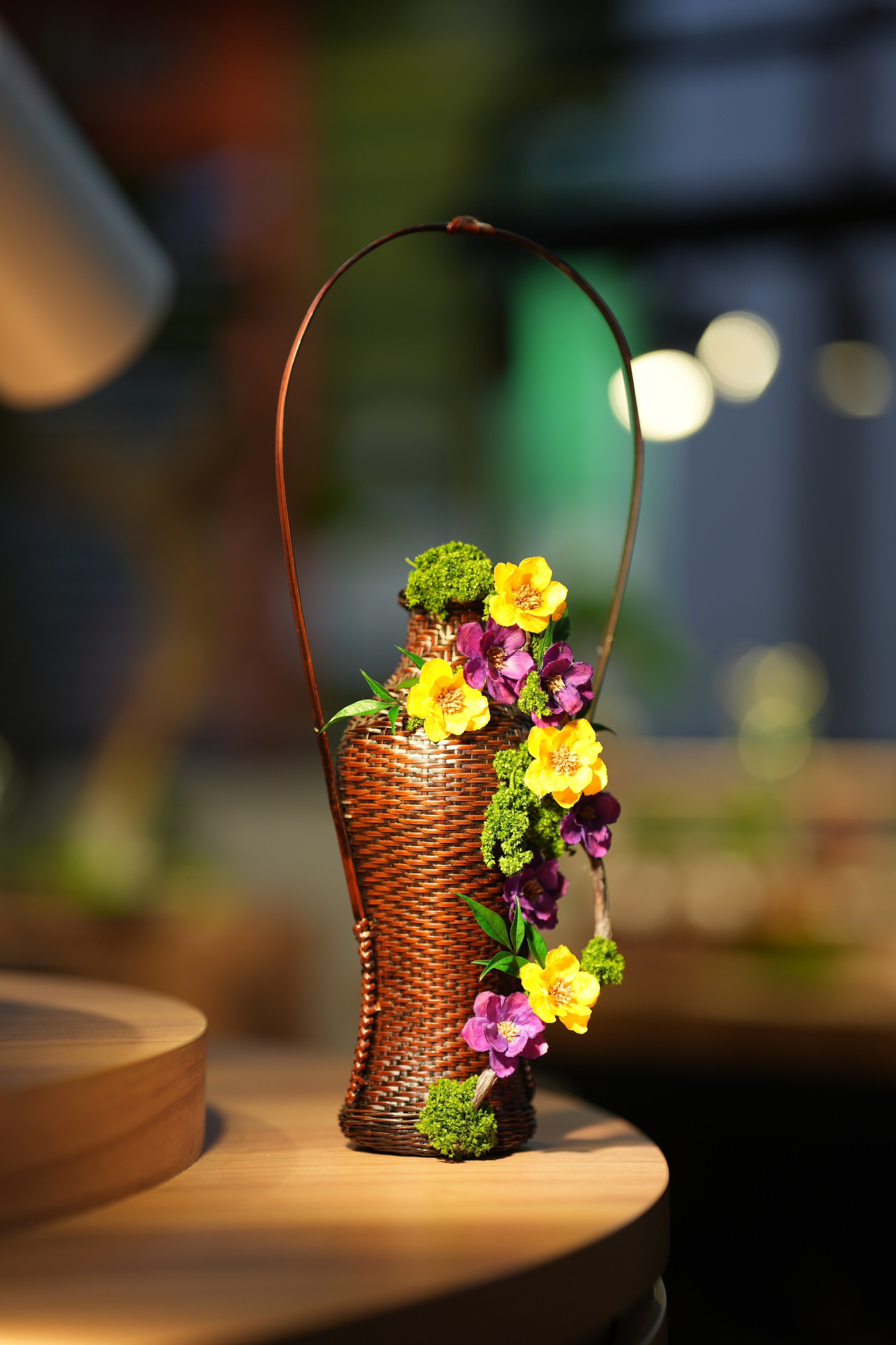 Children of Forest - Curve