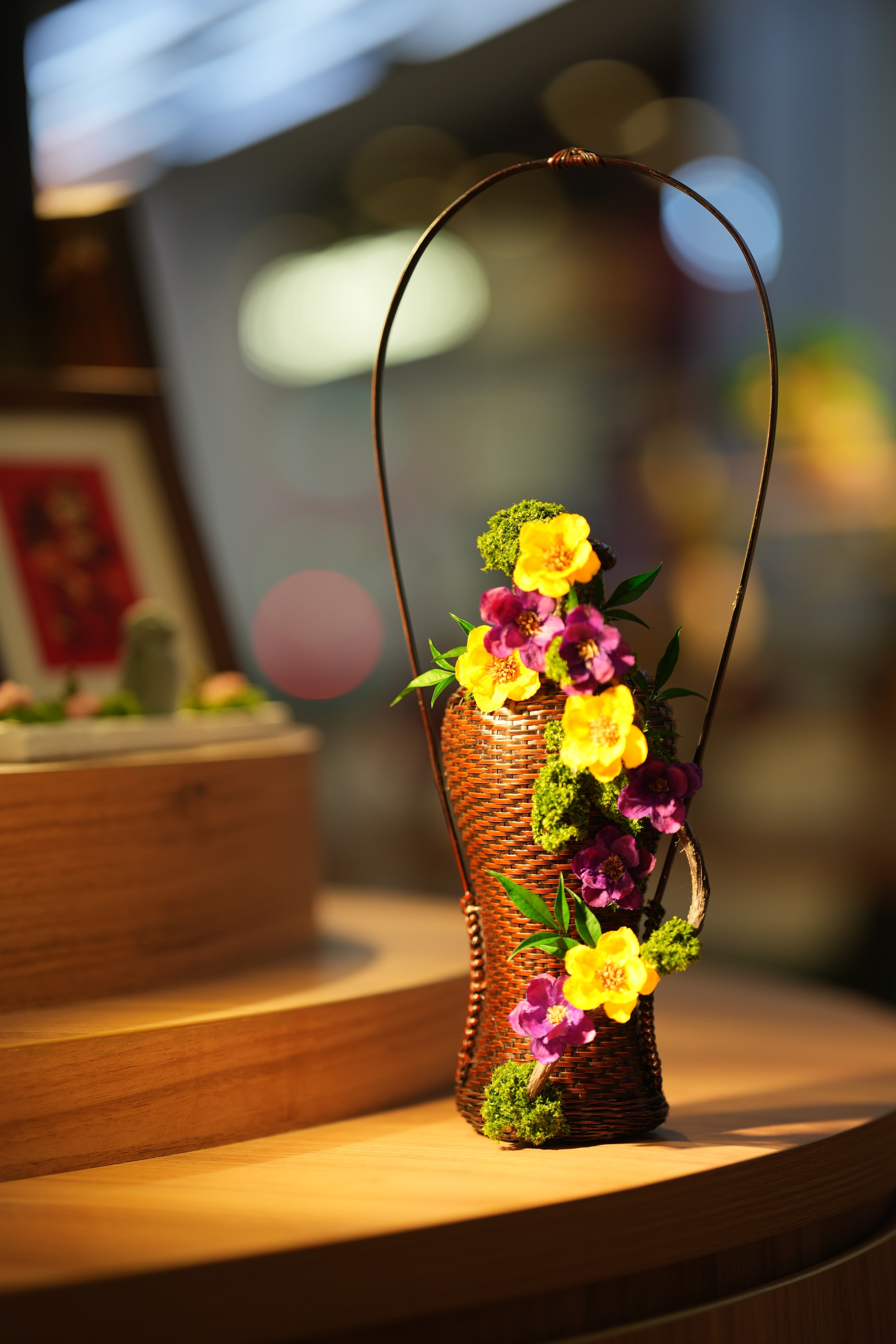 Children of Forest - Curve