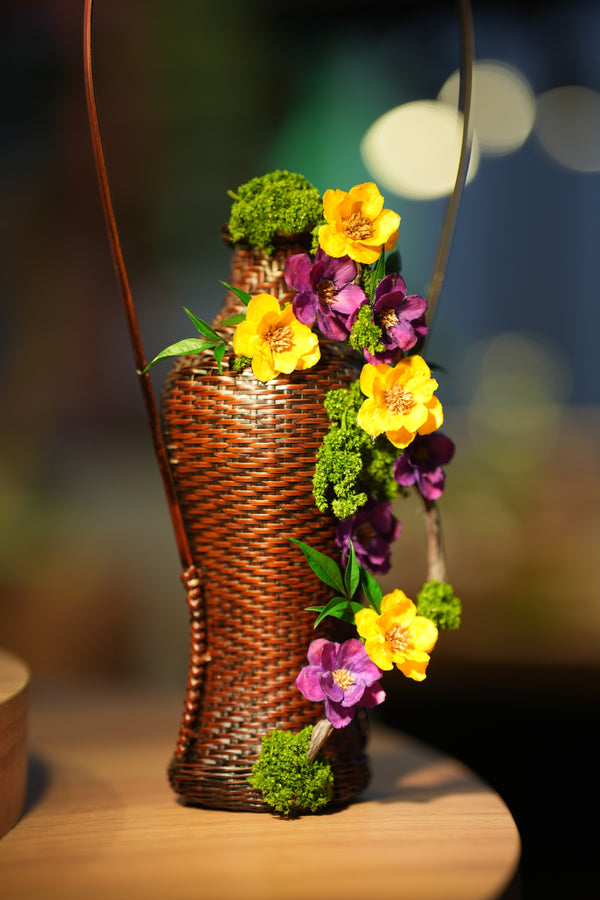 Children of Forest - Curve