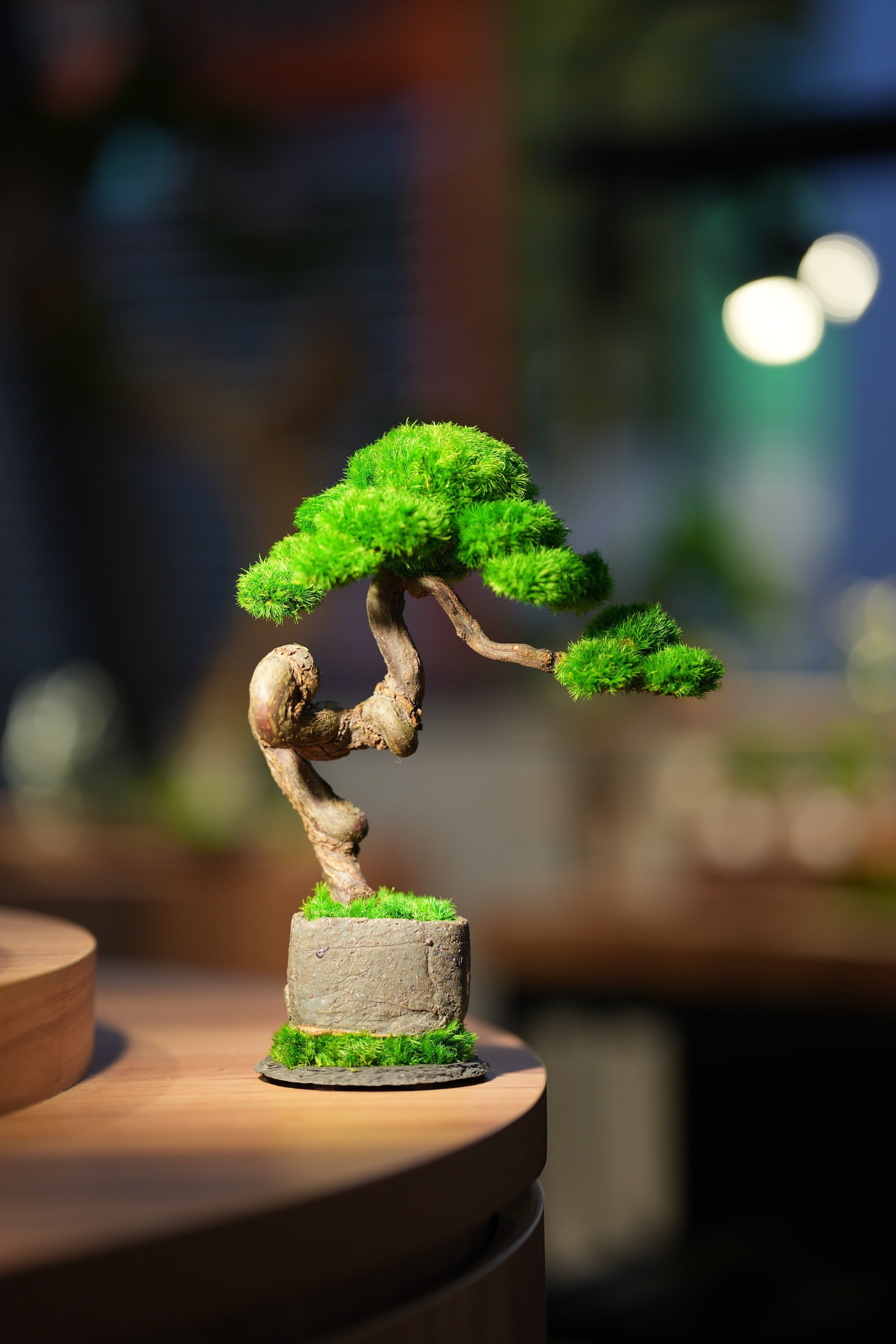 Rosewood - Benchmark