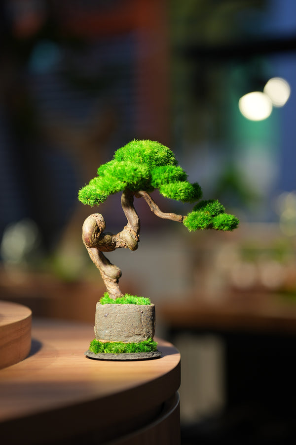 Rosewood - Benchmark