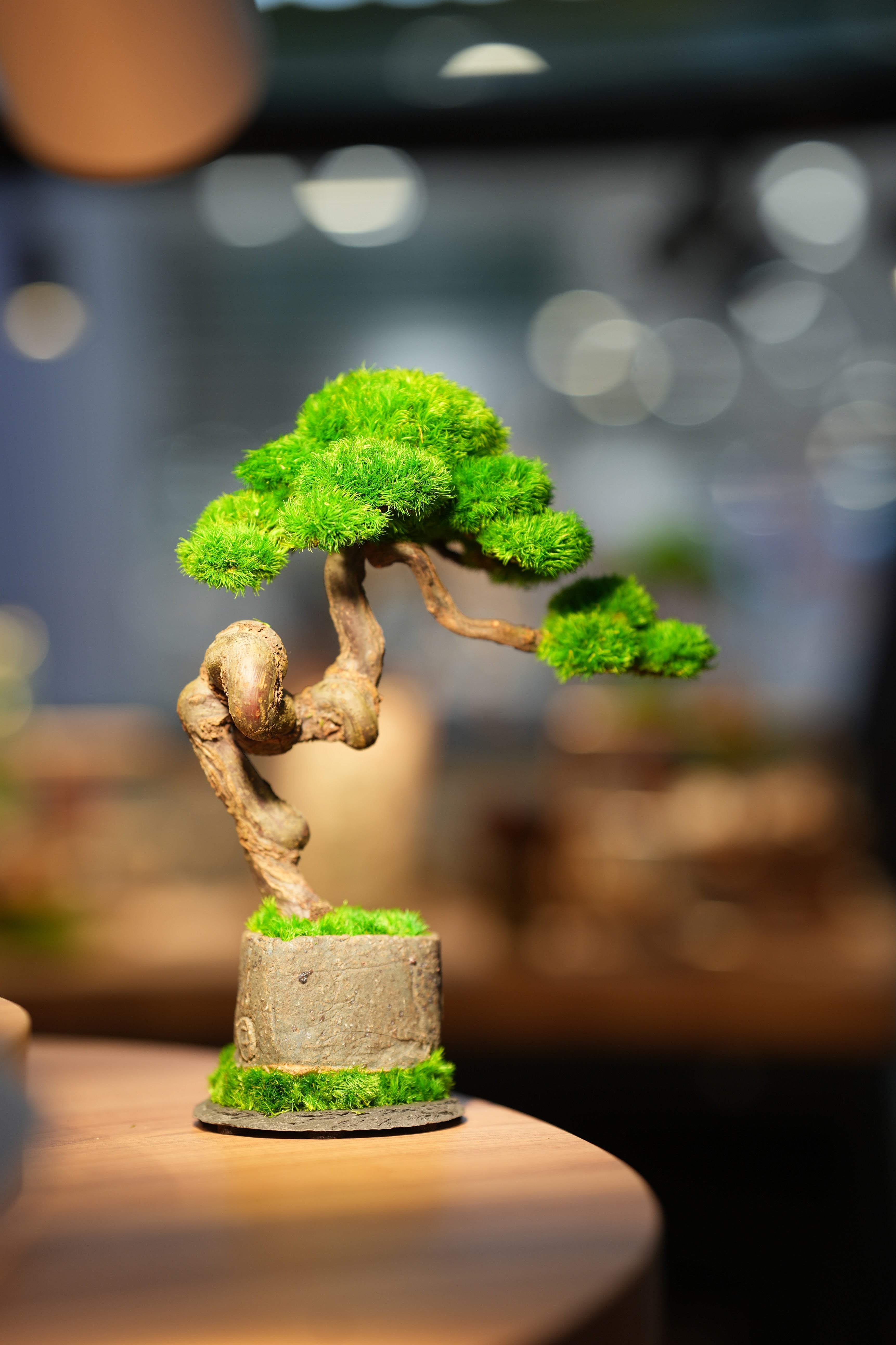 Rosewood - Benchmark