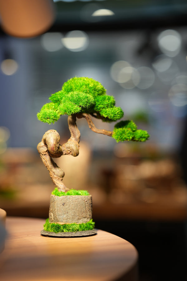 Rosewood - Benchmark