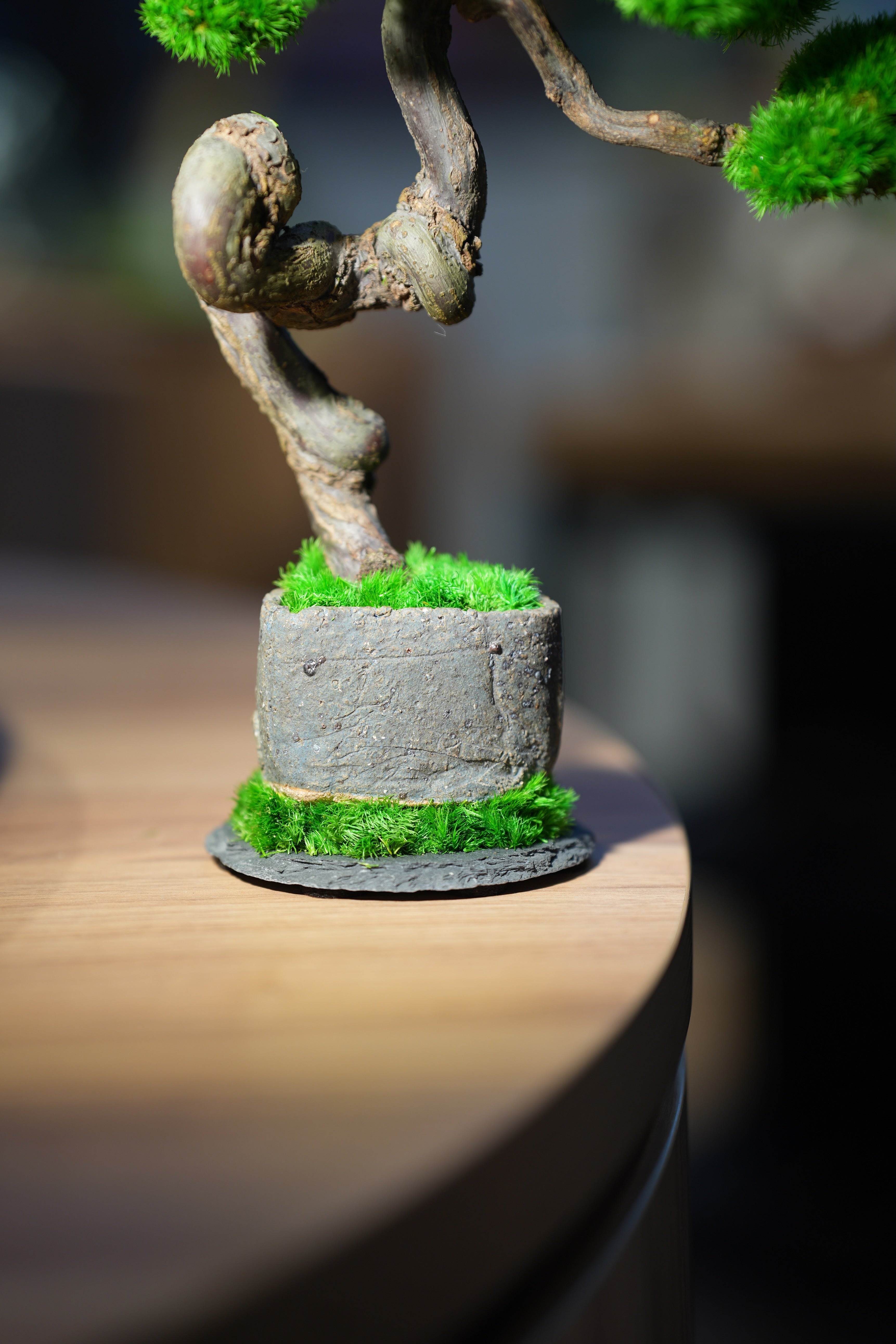 Rosewood - Benchmark