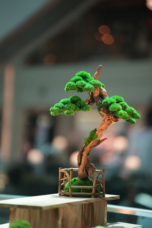 Greenwood - Benchmark