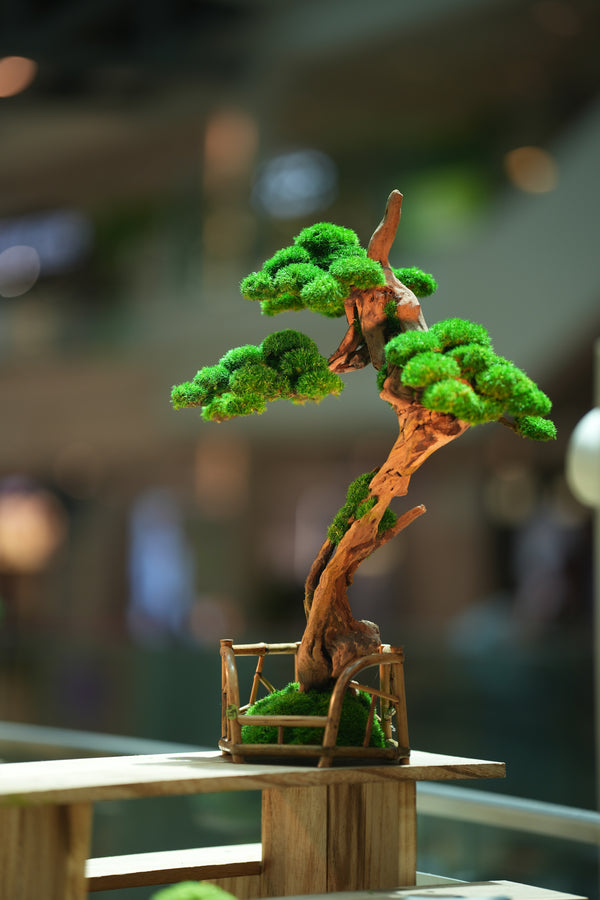 Greenwood - Benchmark