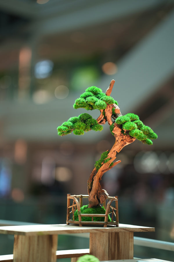 Greenwood - Benchmark