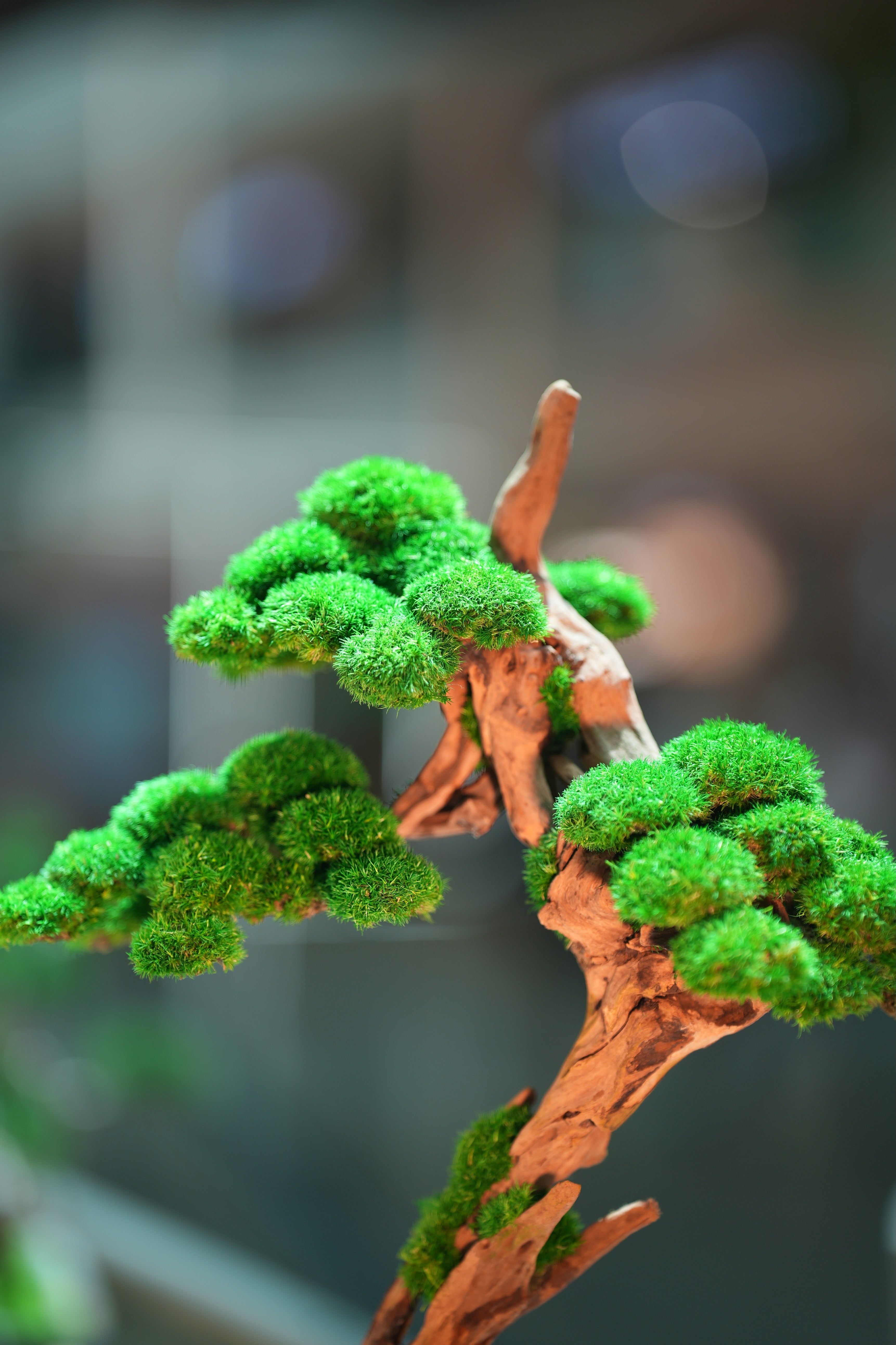 Greenwood - Benchmark