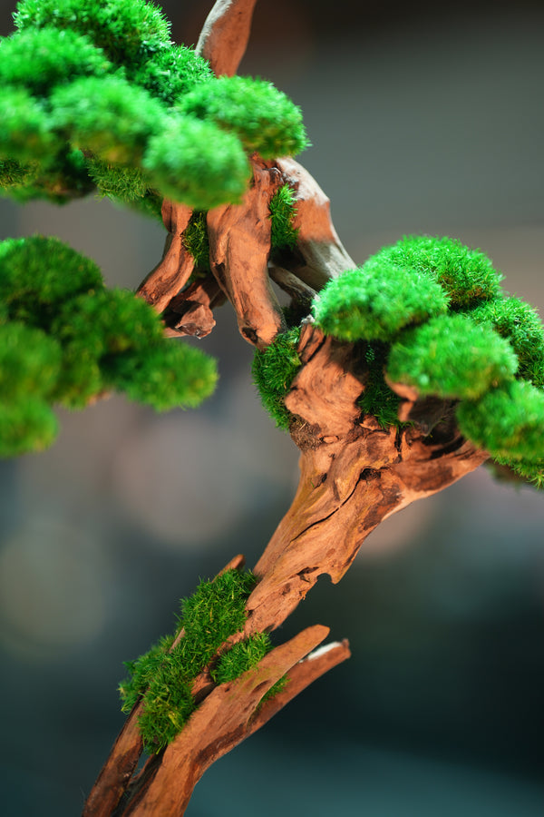 Greenwood - Benchmark