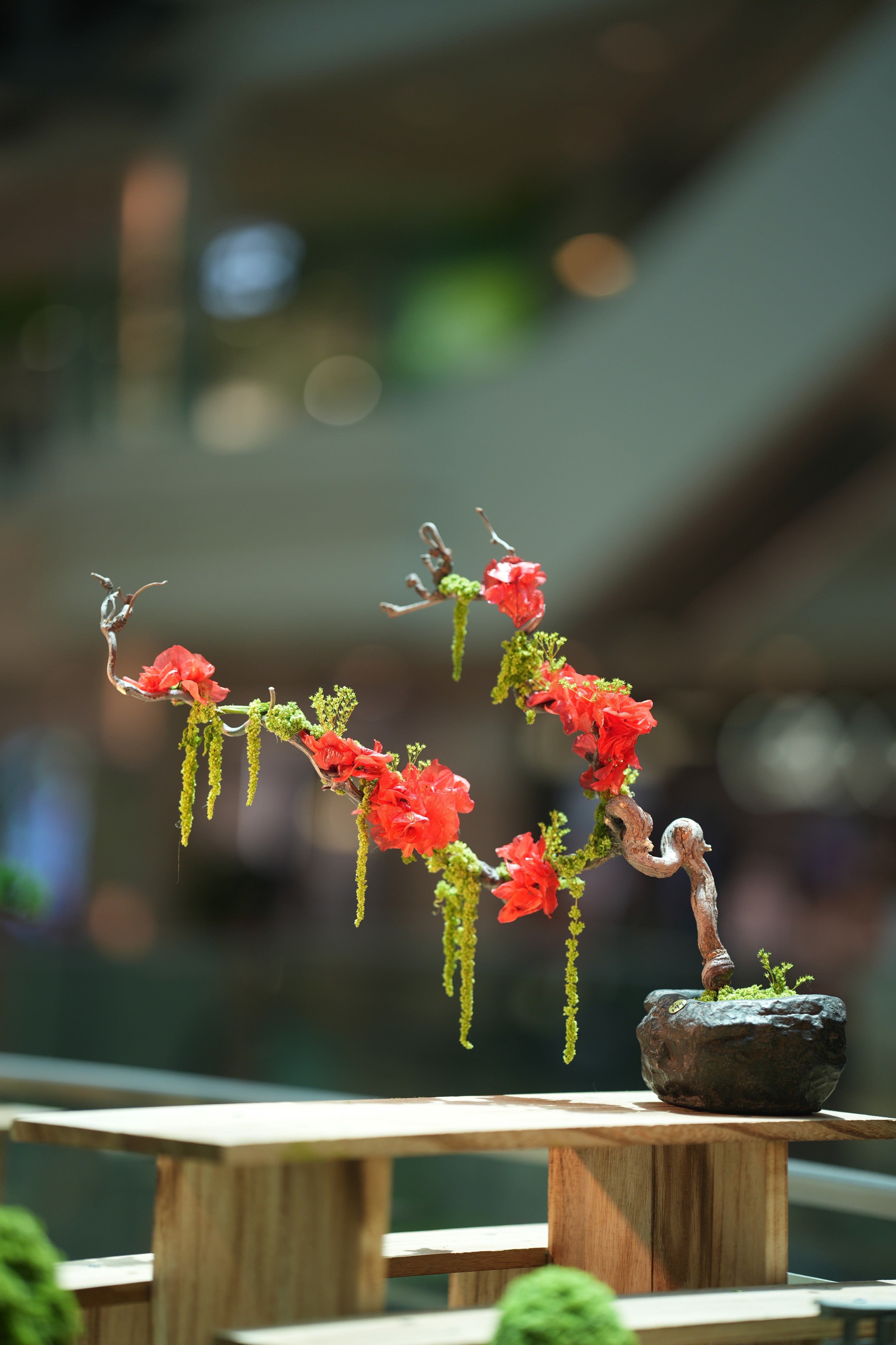 Children of the Forest - Lantern