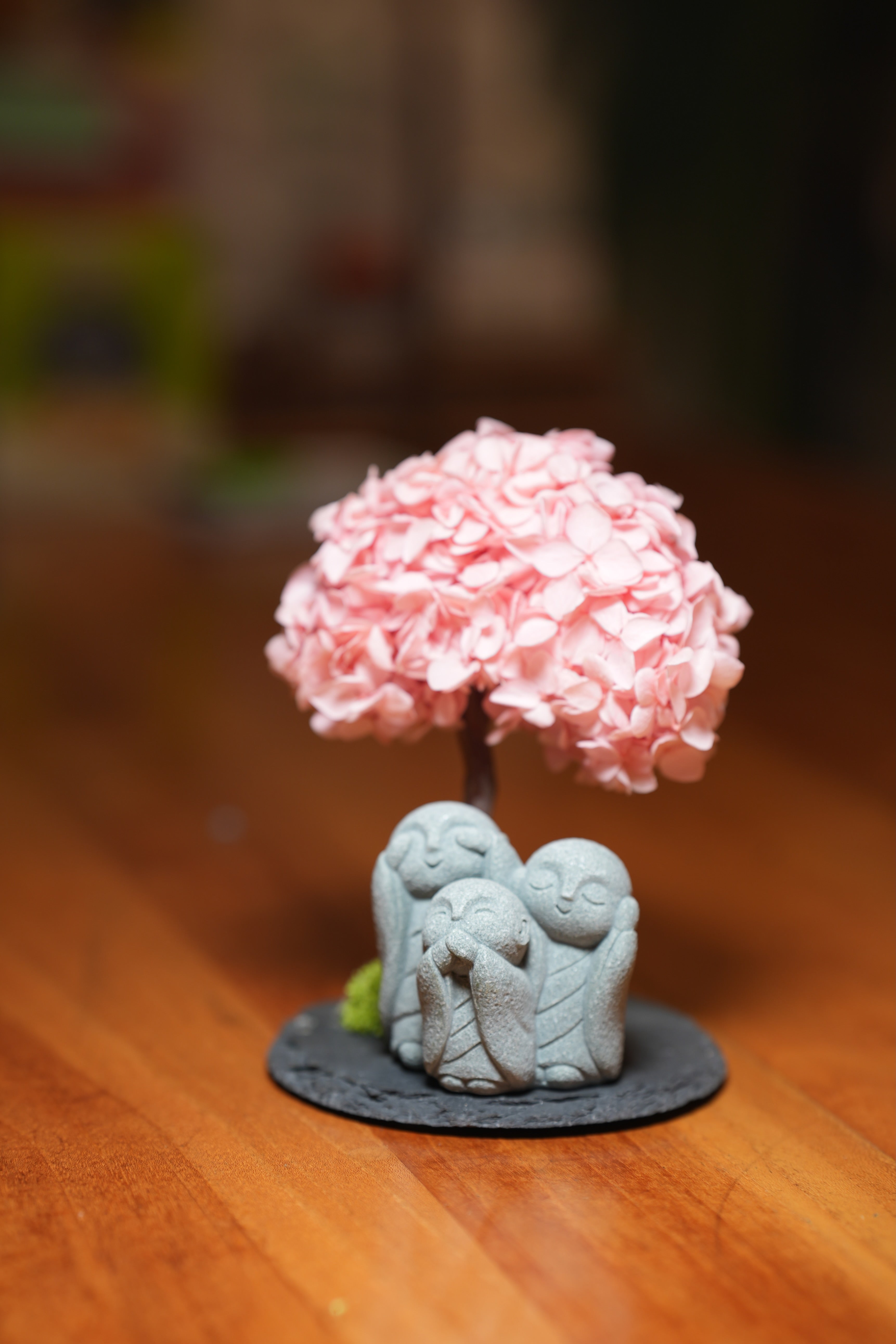 A Small Tree in the East - Sakura - Trio of No Evil