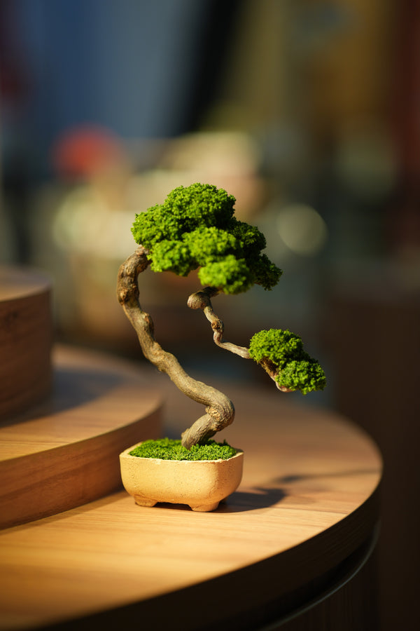 Rosewood - Benchmark