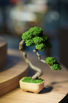 Rosewood - Benchmark